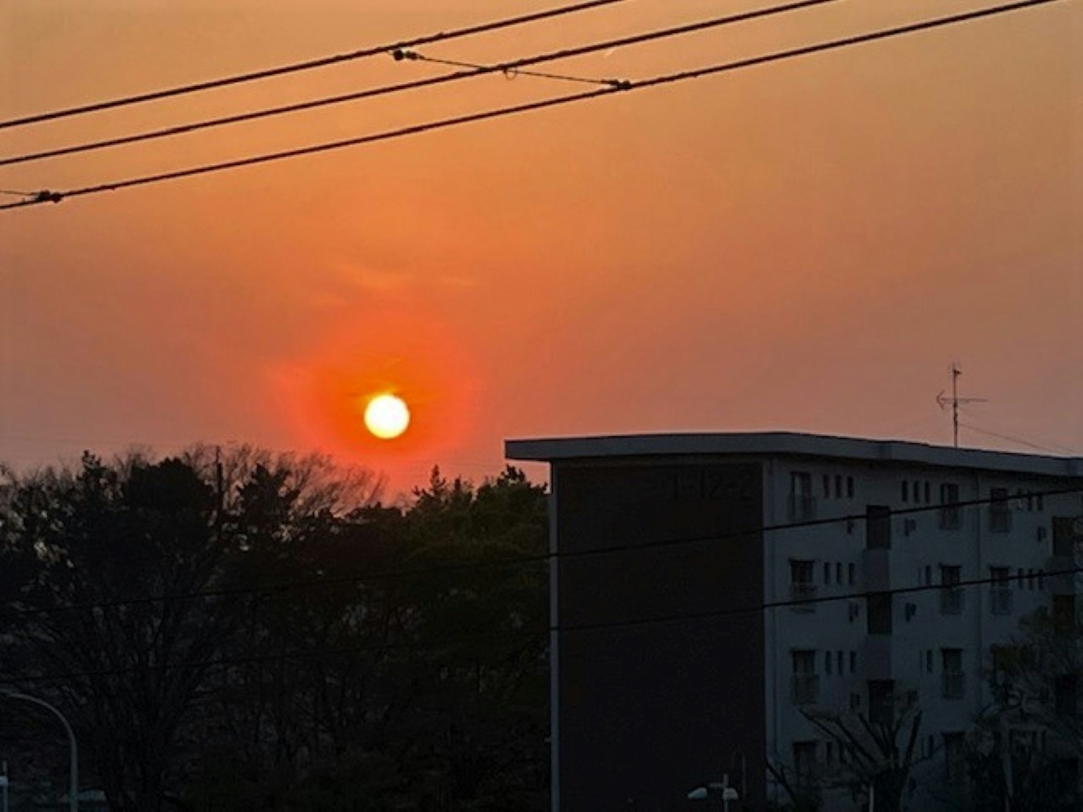 일몰 풍경과 건물 및 나무의 실루엣