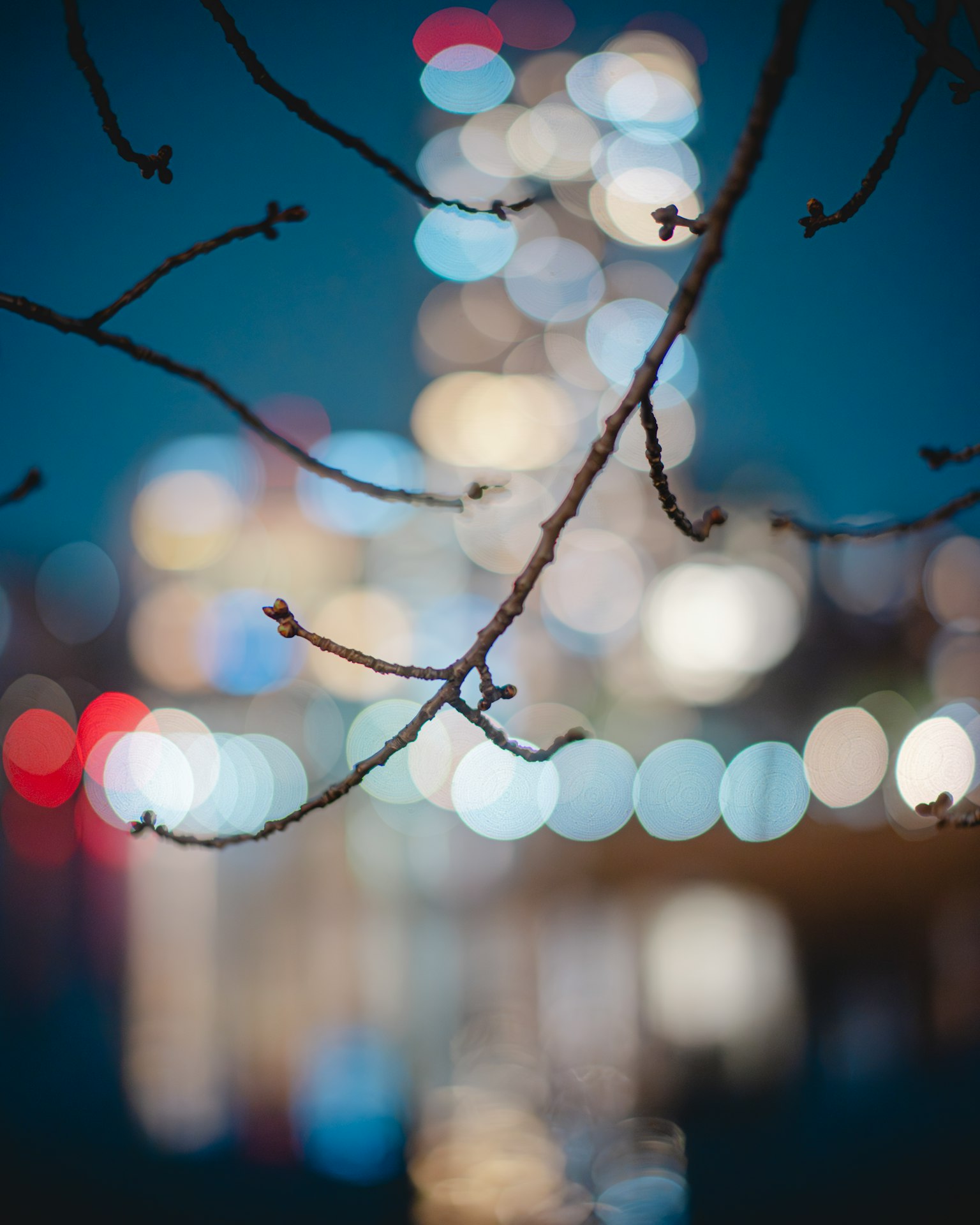 photo-MG8KL33v1TZHDmrBlhlN-image