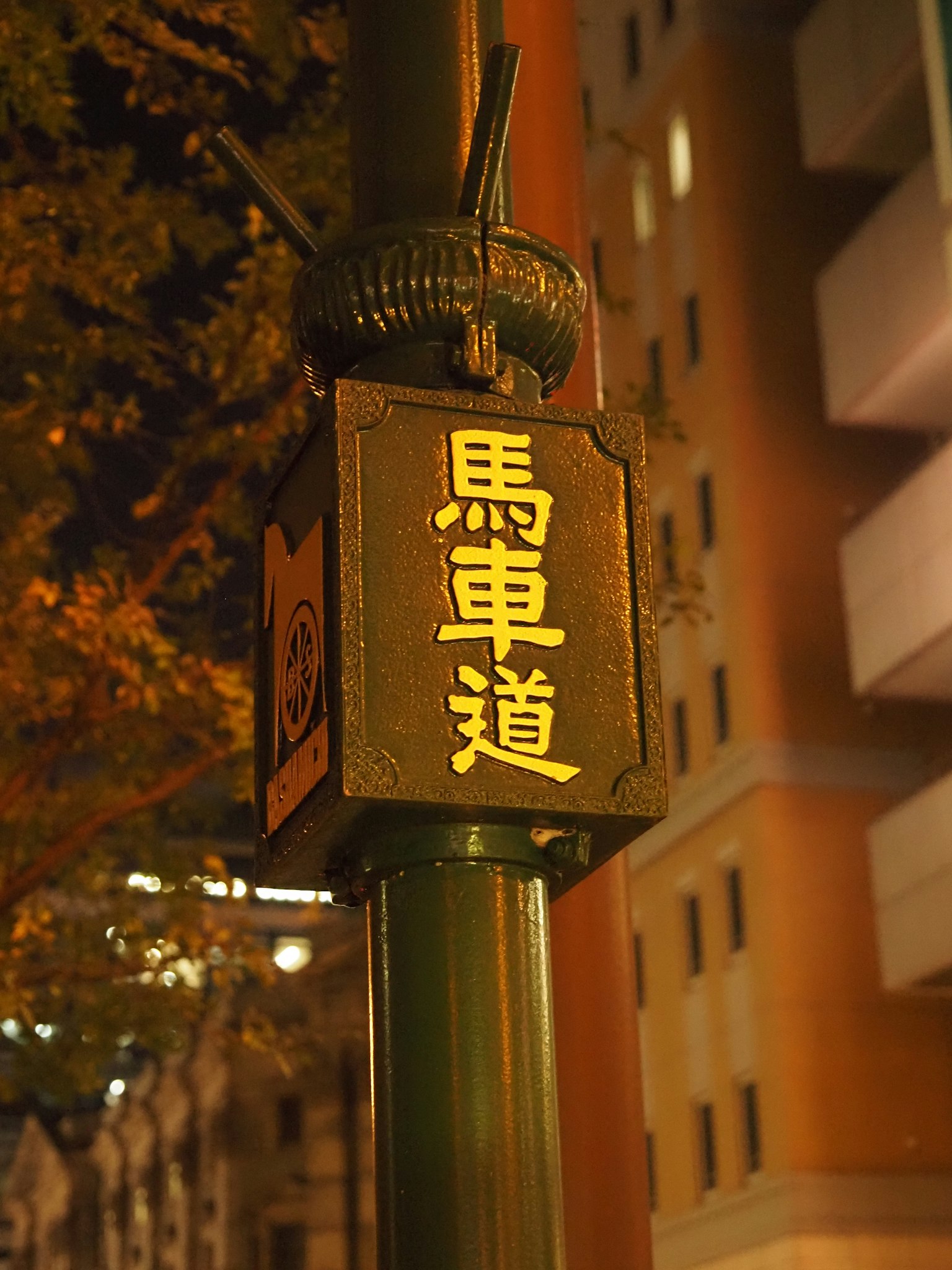 Señal para Camino de Carrozas fijada a una farola de noche