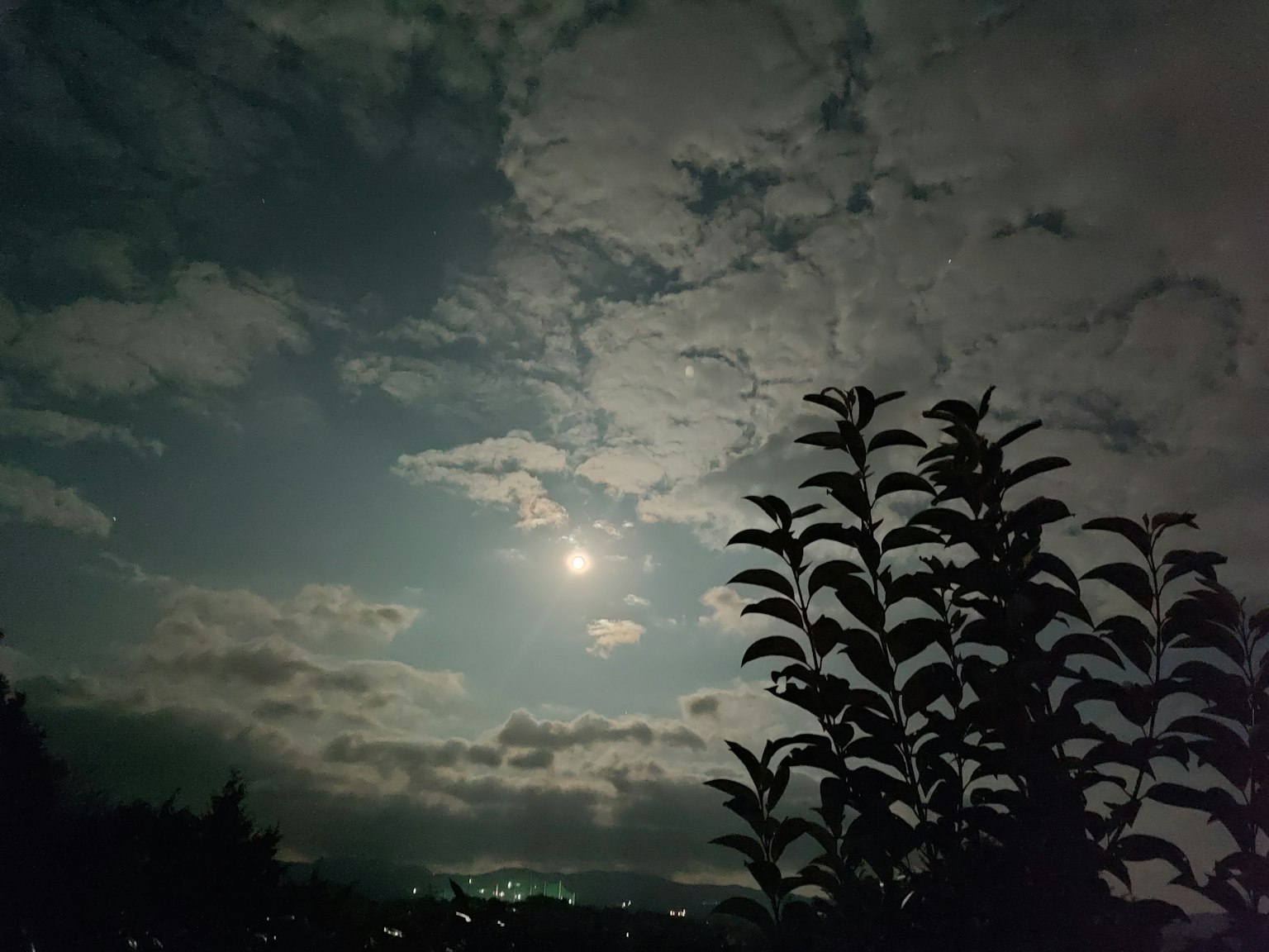 明亮的滿月透過雲彩與剪影葉子
