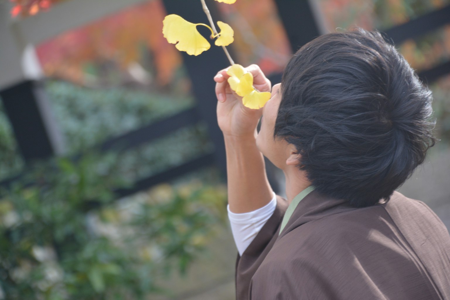 Un enfant tenant des feuilles jaunes dans un jardin