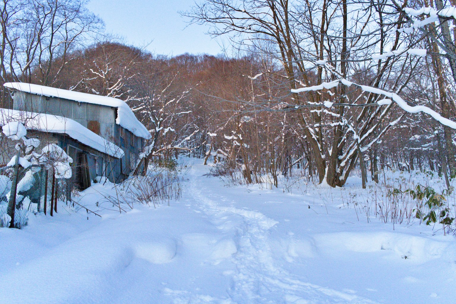 Verschneiter Weg mit Bäumen und alten Gebäuden in einer Winterlandschaft