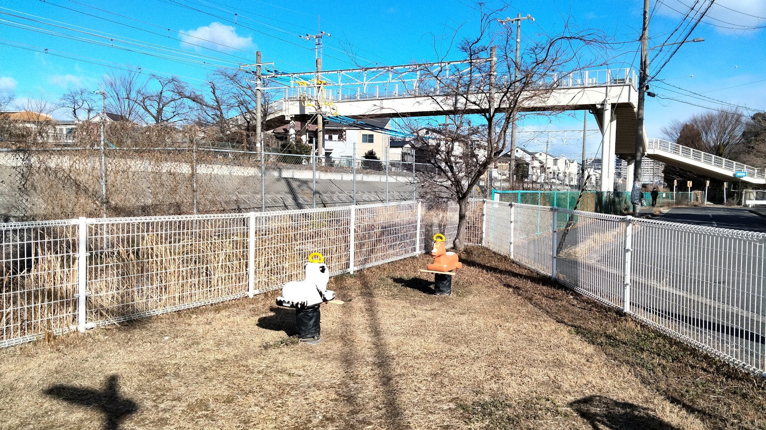 Under a blue sky, two objects are placed on grass in a fenced area with an overpass visible in the background