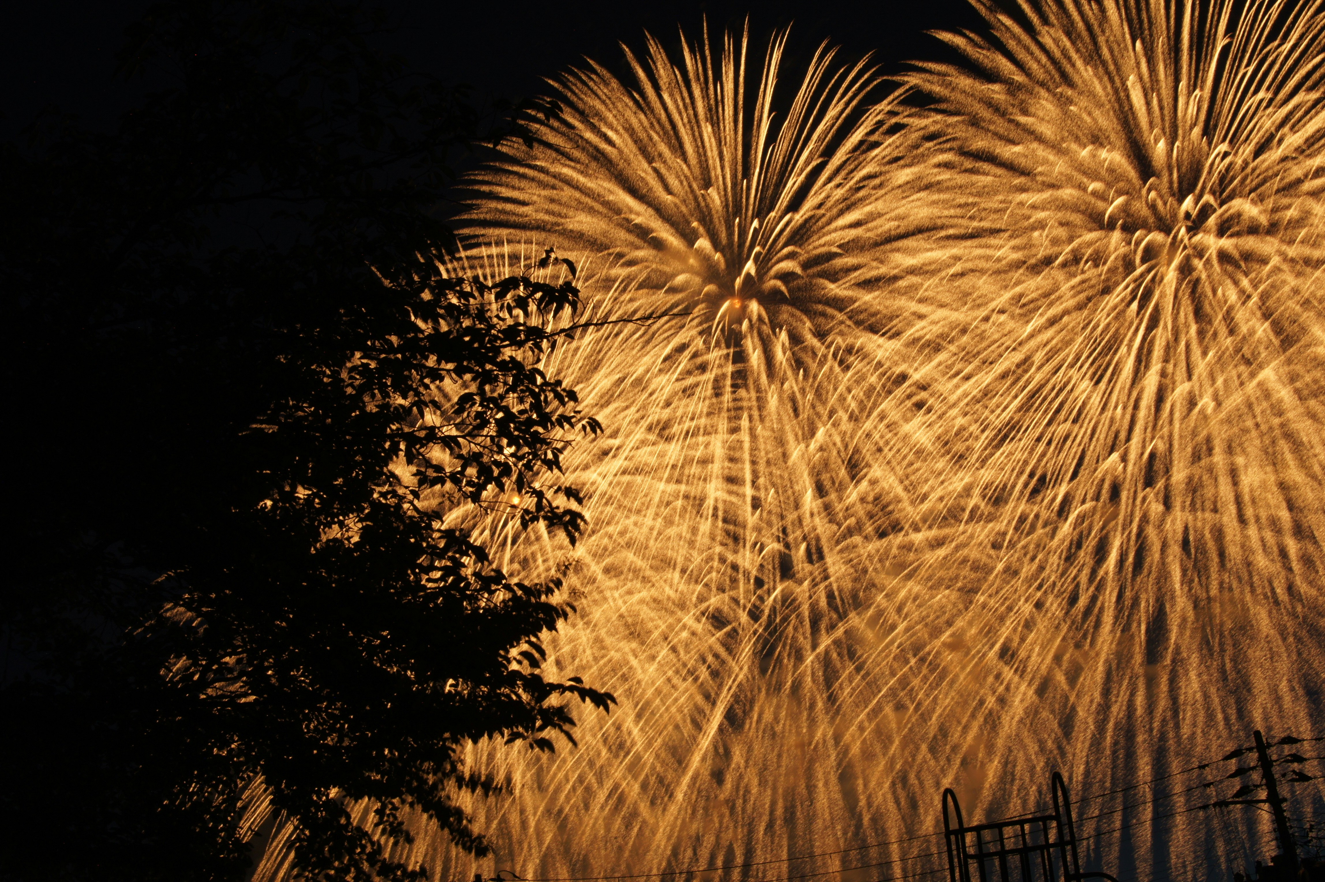 夜空に広がる花火と火花の飛沫