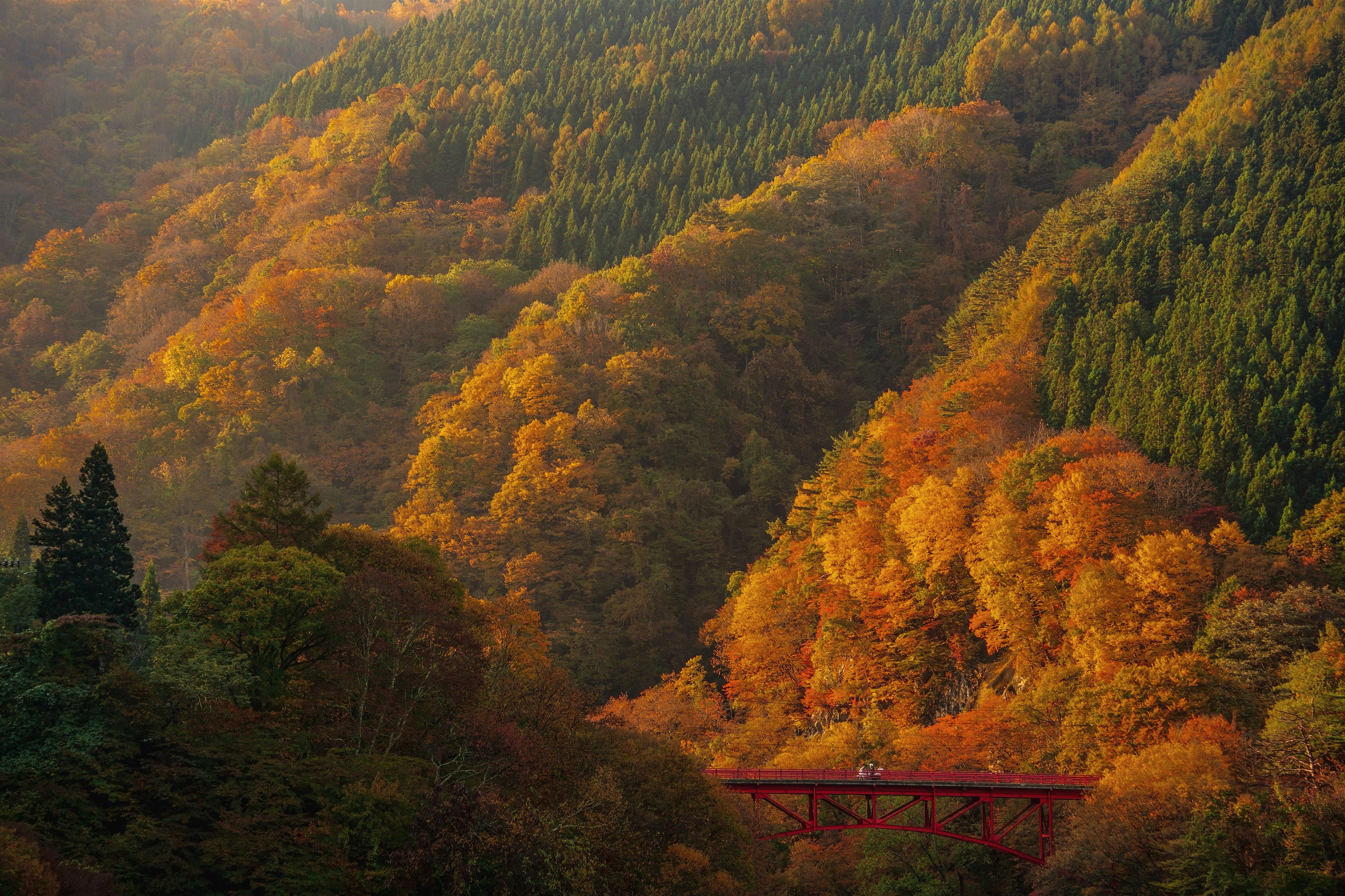 ทิวทัศน์ภูเขาฤดูใบไม้ร่วงพร้อมสะพานสีแดงเหนือหุบเขา