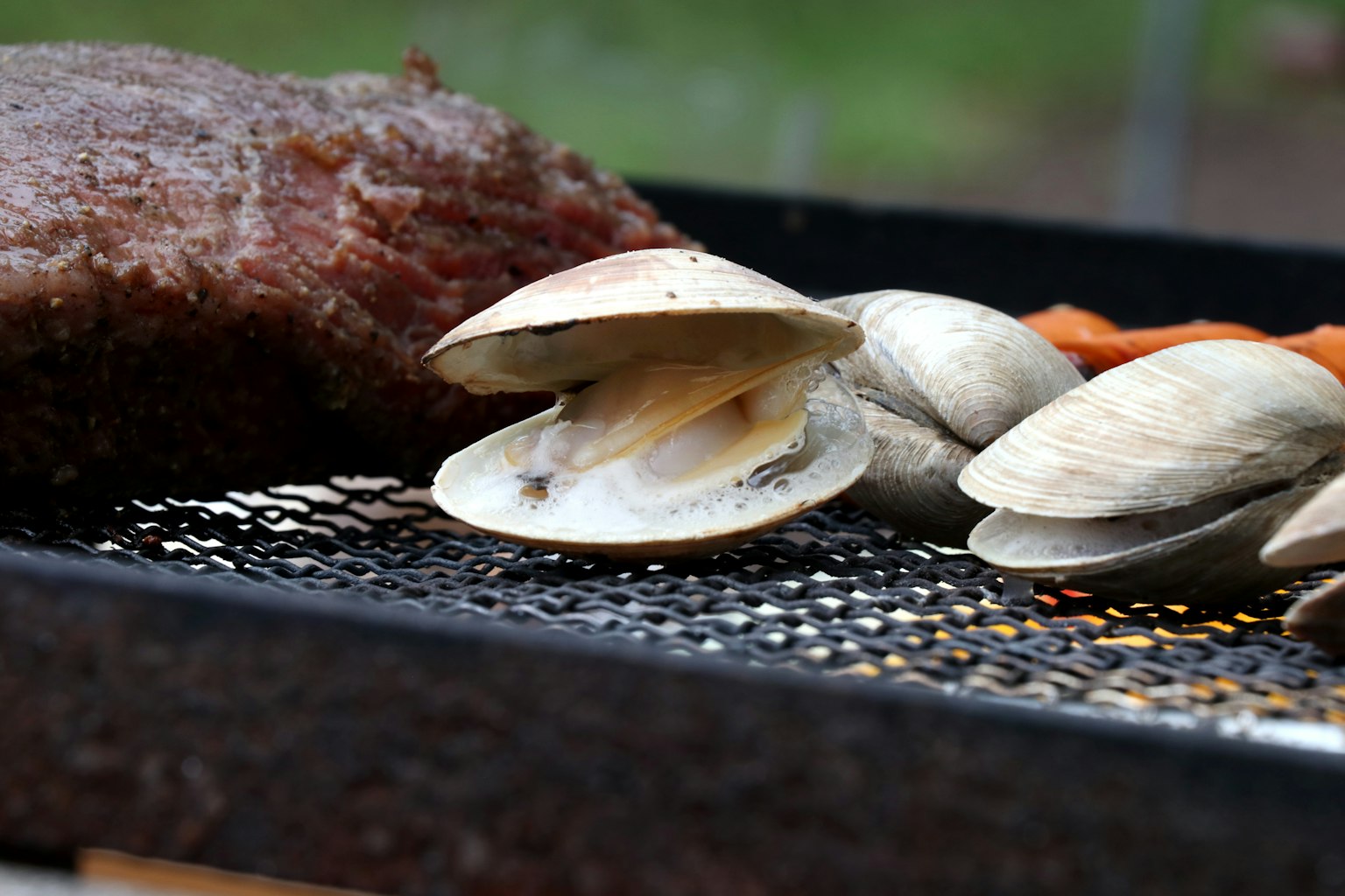 Grilled meat and clams on a barbecue