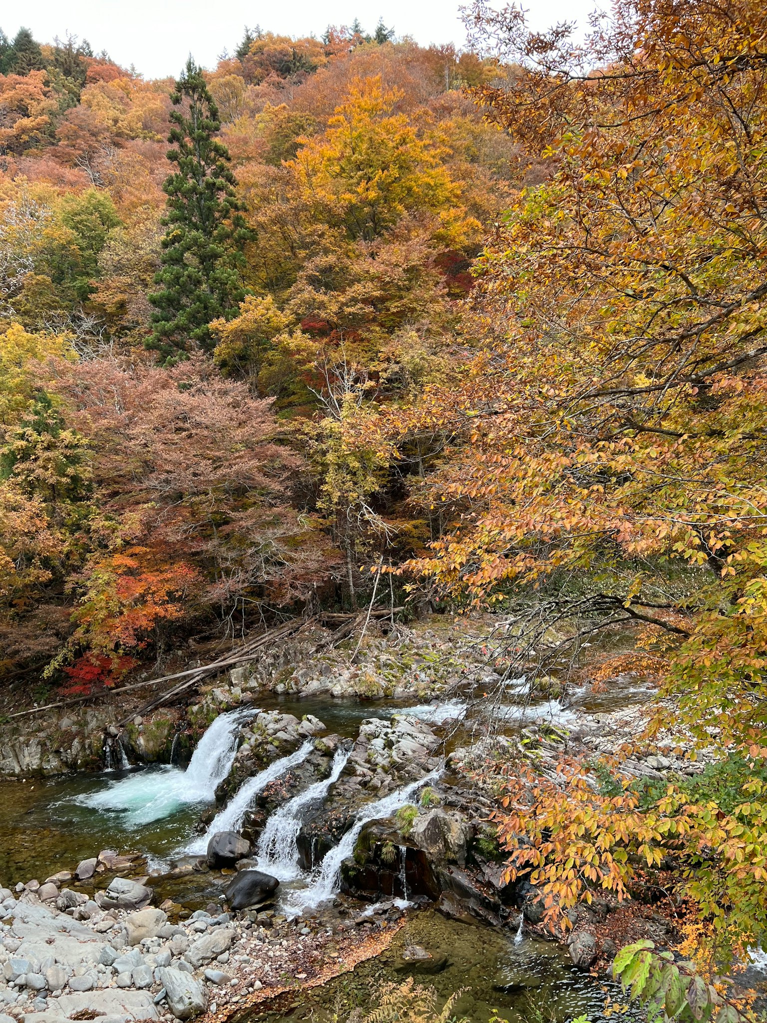 Scenic autumn landscape featuring a flowing stream and colorful foliage