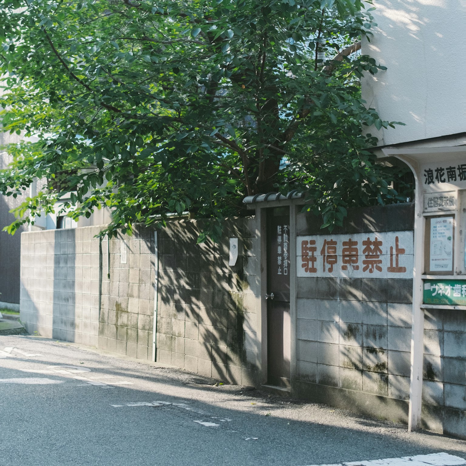 道路旁的樹和牆及標誌