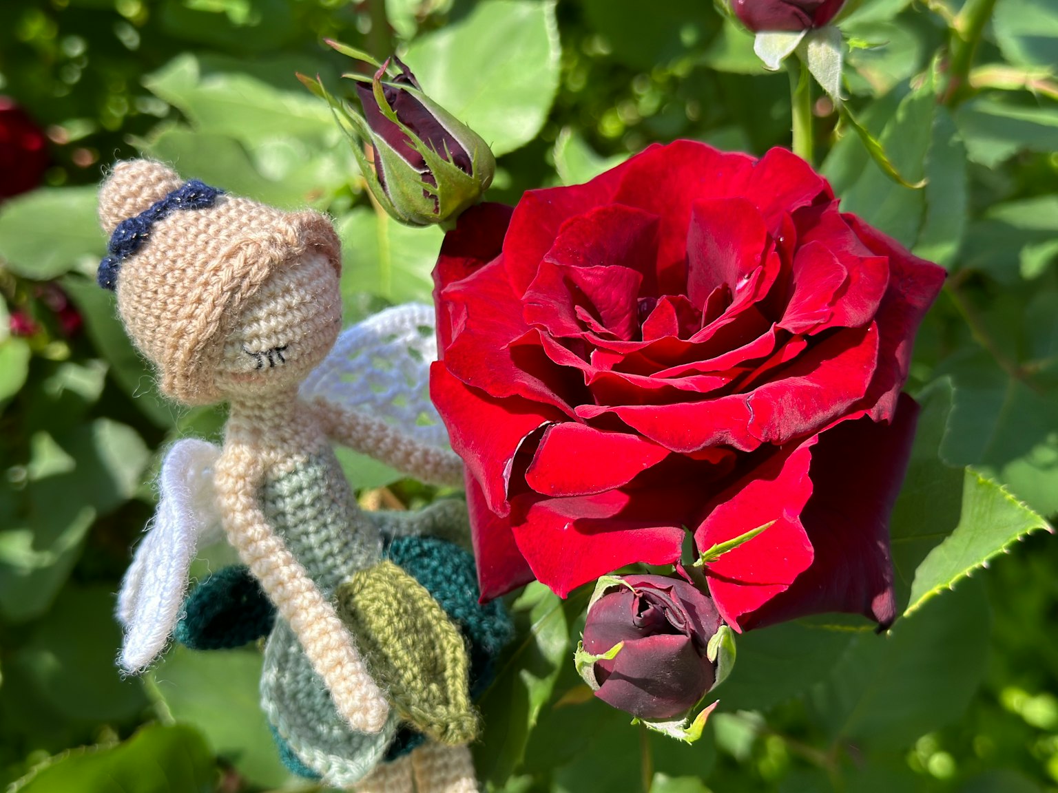 Una fata all'uncinetto accanto a una rosa rossa vibrante con foglie verdi