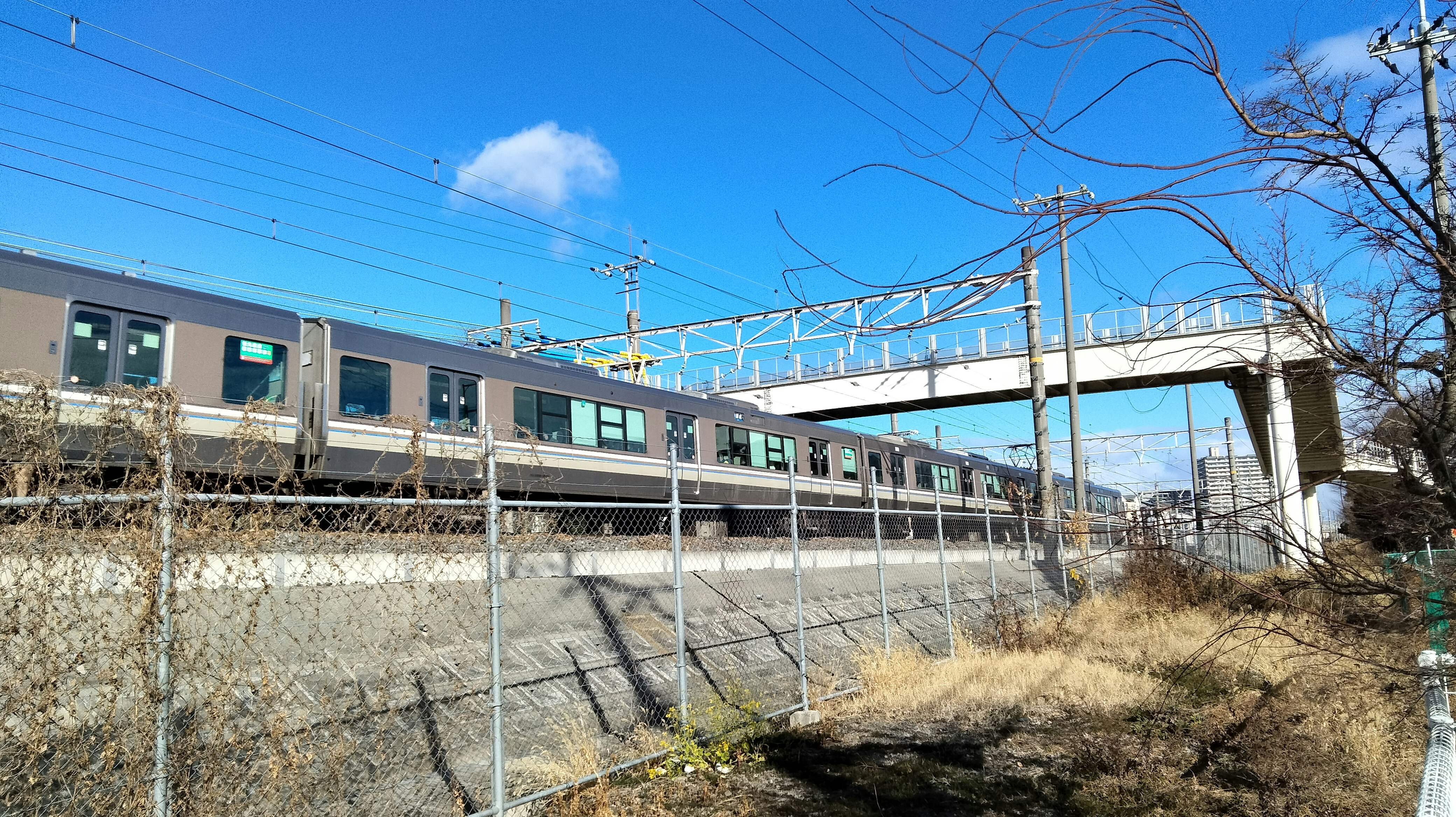 鐵軌上的列車與高架月台