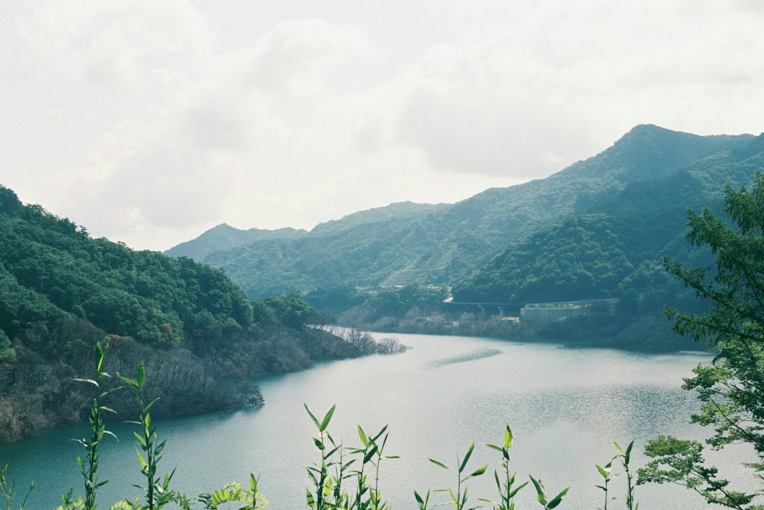 藍色湖泊和綠色山脈的風景