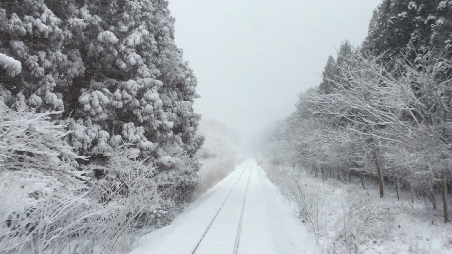 Schneebedeckte Eisenbahnlanschaft mit umliegenden Bäumen