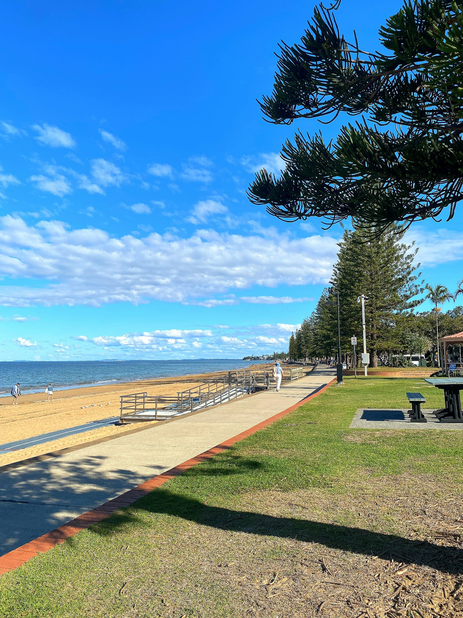 Scenic beach view with blue sky green grass and lined trees along the walkway