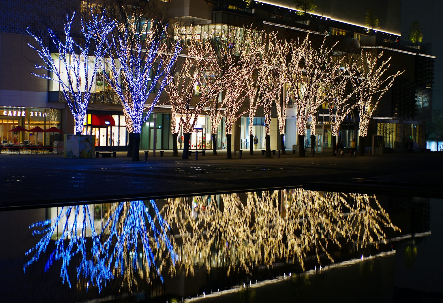 Arbres illuminés en blanc se reflétant sur l'eau la nuit dans un cadre urbain
