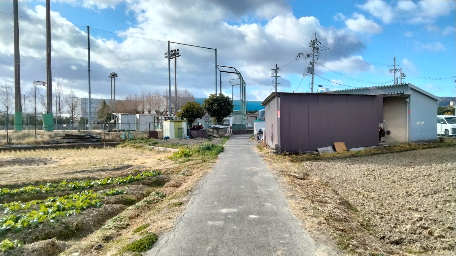 Rural pathway lined with fields and a small building