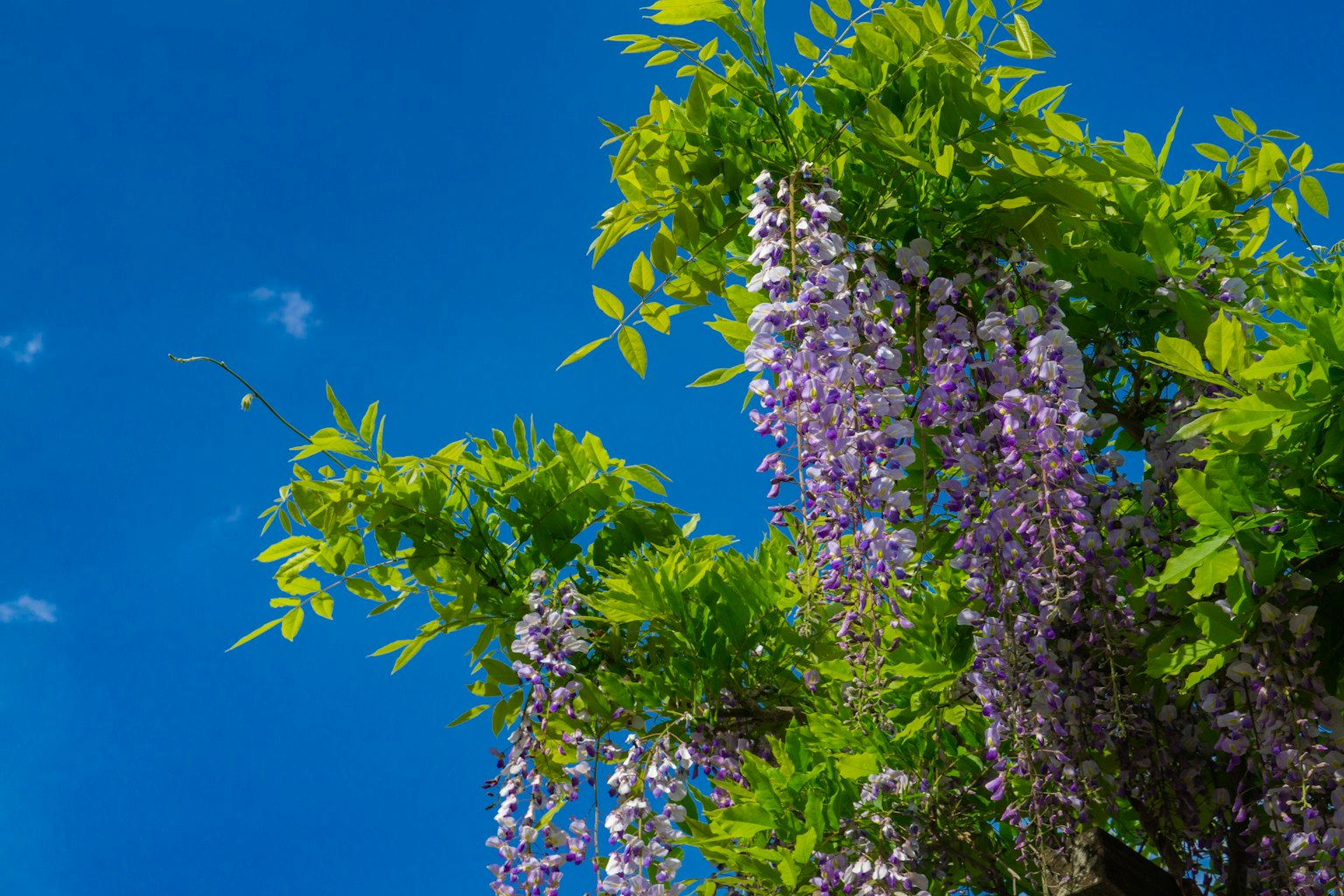 photo-ML96Jeq7pKywcSQsuYEU-image