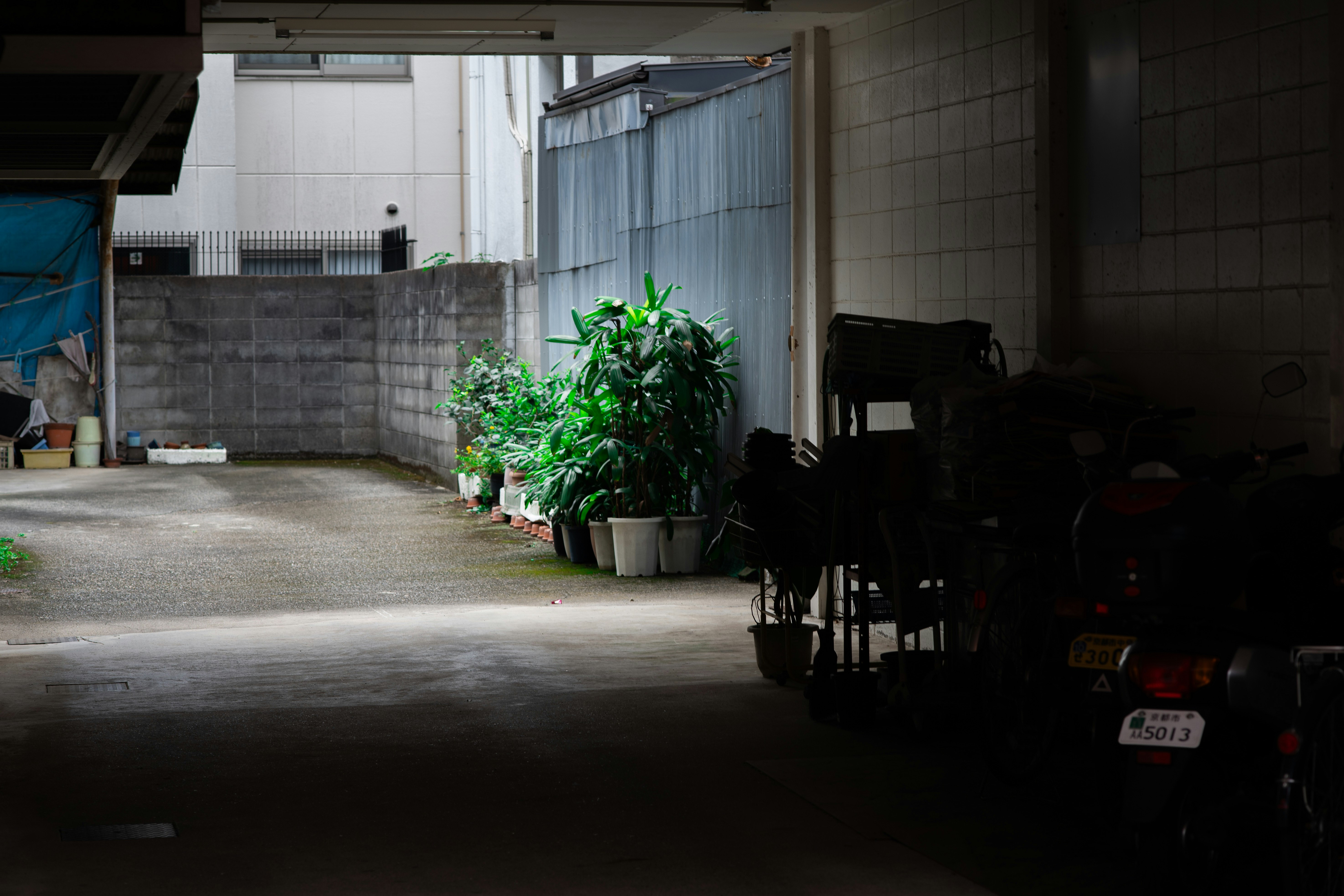 Plantes en pots et vélo dans un espace extérieur de type cour