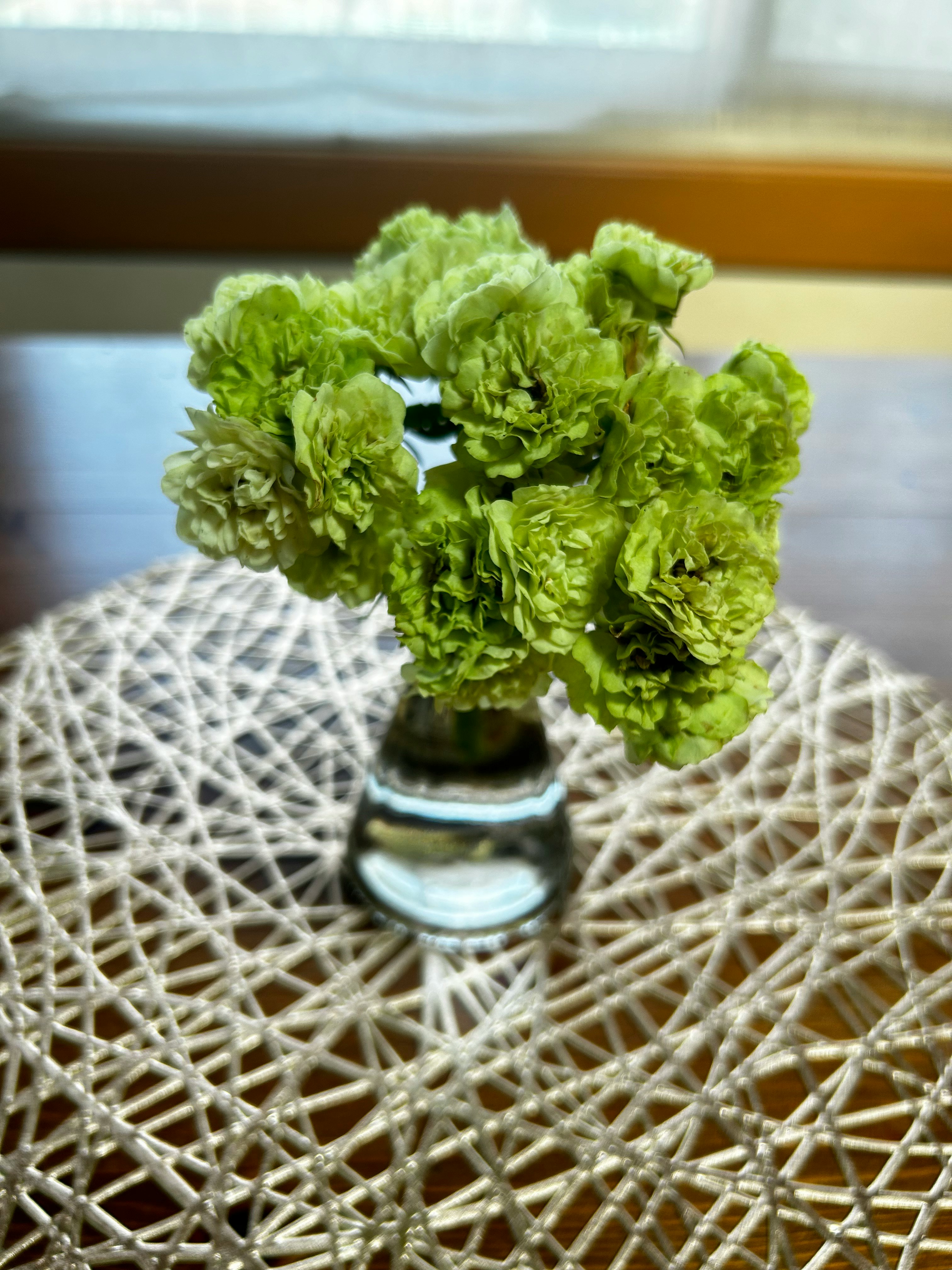 ミニバラのグリーンアイスとテーブルフラワーの庭の花