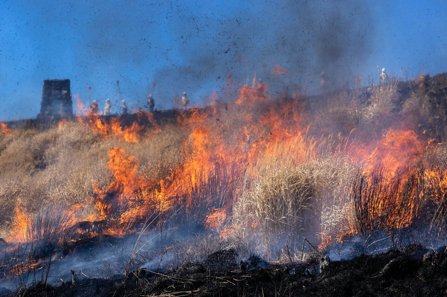 Brennendes Grasland mit Flammen und Rauch Feuerwehrleute versuchen das Feuer zu löschen
