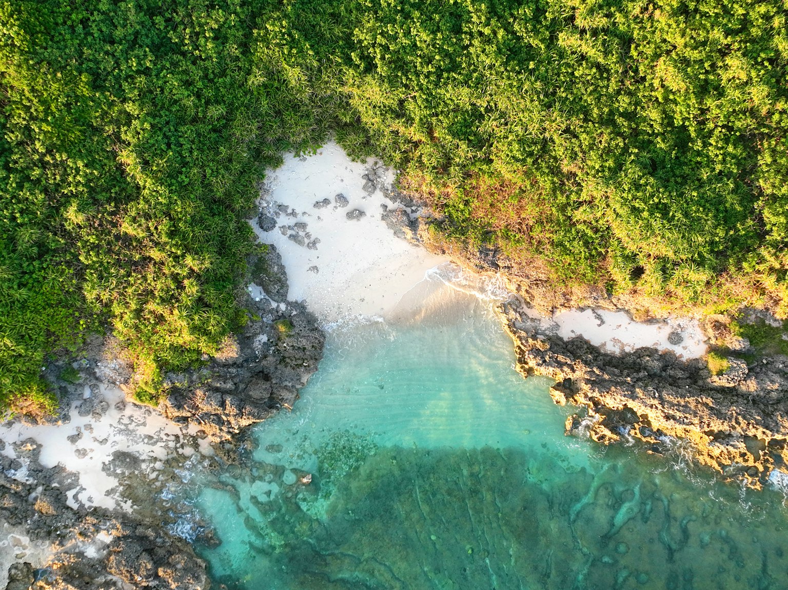 Vista aerea di un'isola verdeggiante con mare blu e spiaggia di sabbia bianca