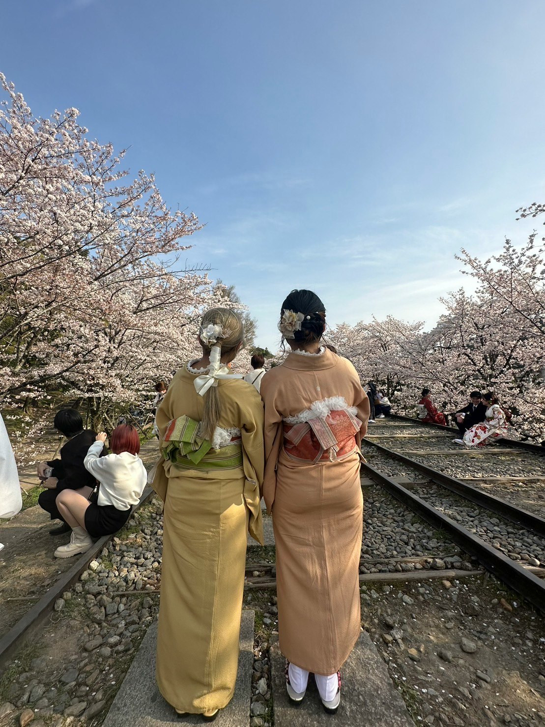 personas con kimono junto a los cerezos en flor a lo largo de las vías del tren