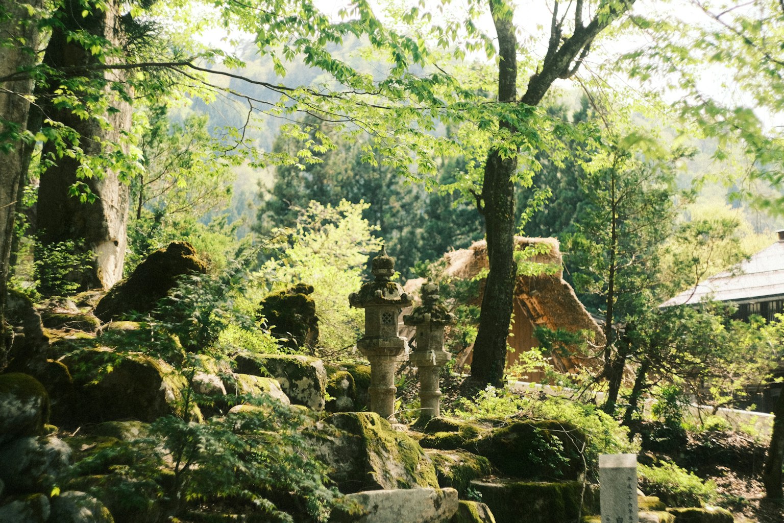 Scenic view of stone statues and rocks in a lush garden