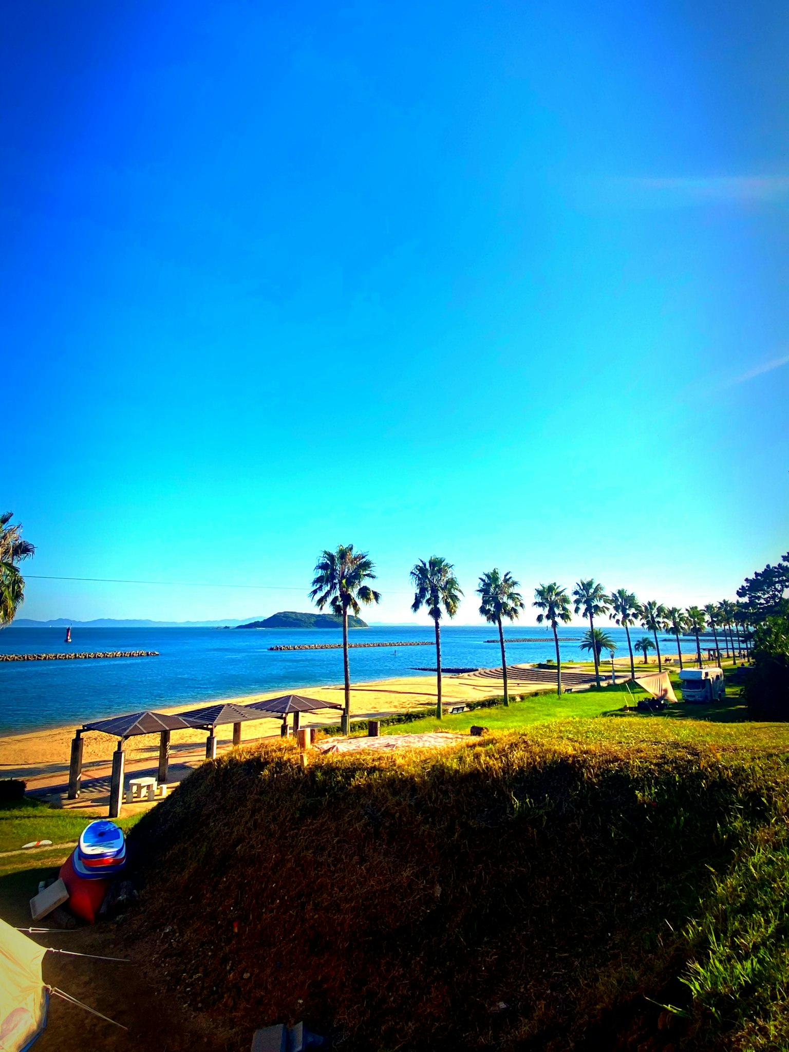 海灘景觀，棕櫚樹和晴朗的藍天