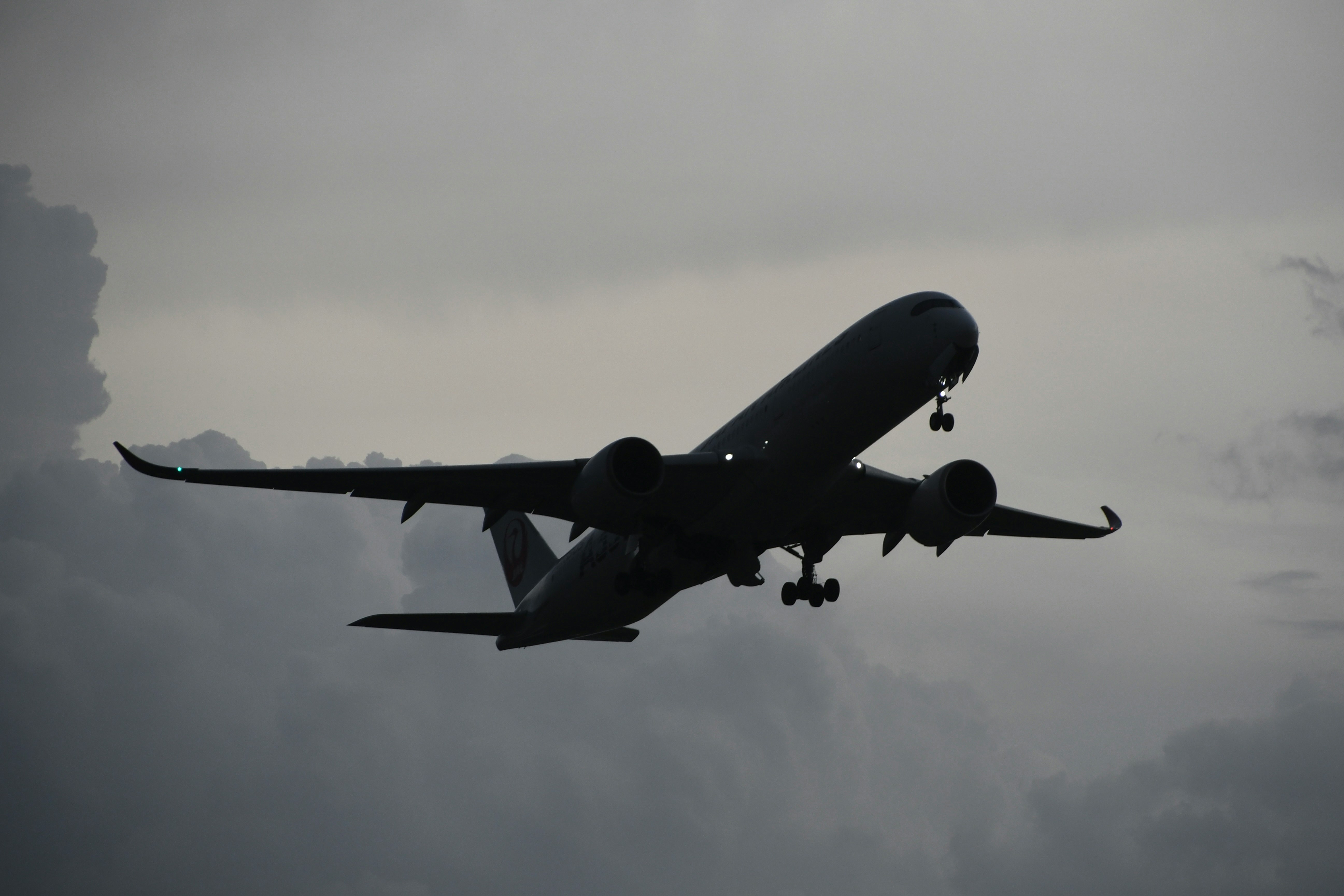 Silhouette eines großen Passagierflugzeugs in der Luft vor bewölktem Himmel