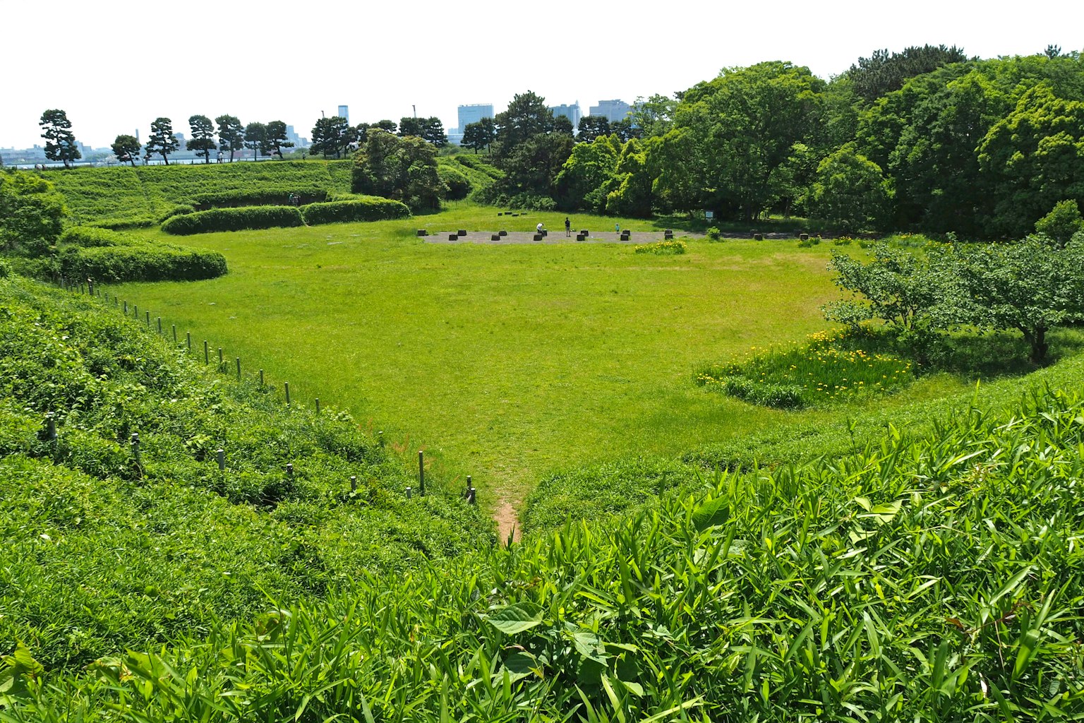 Zone de parc verdoyante avec des arbres environnants