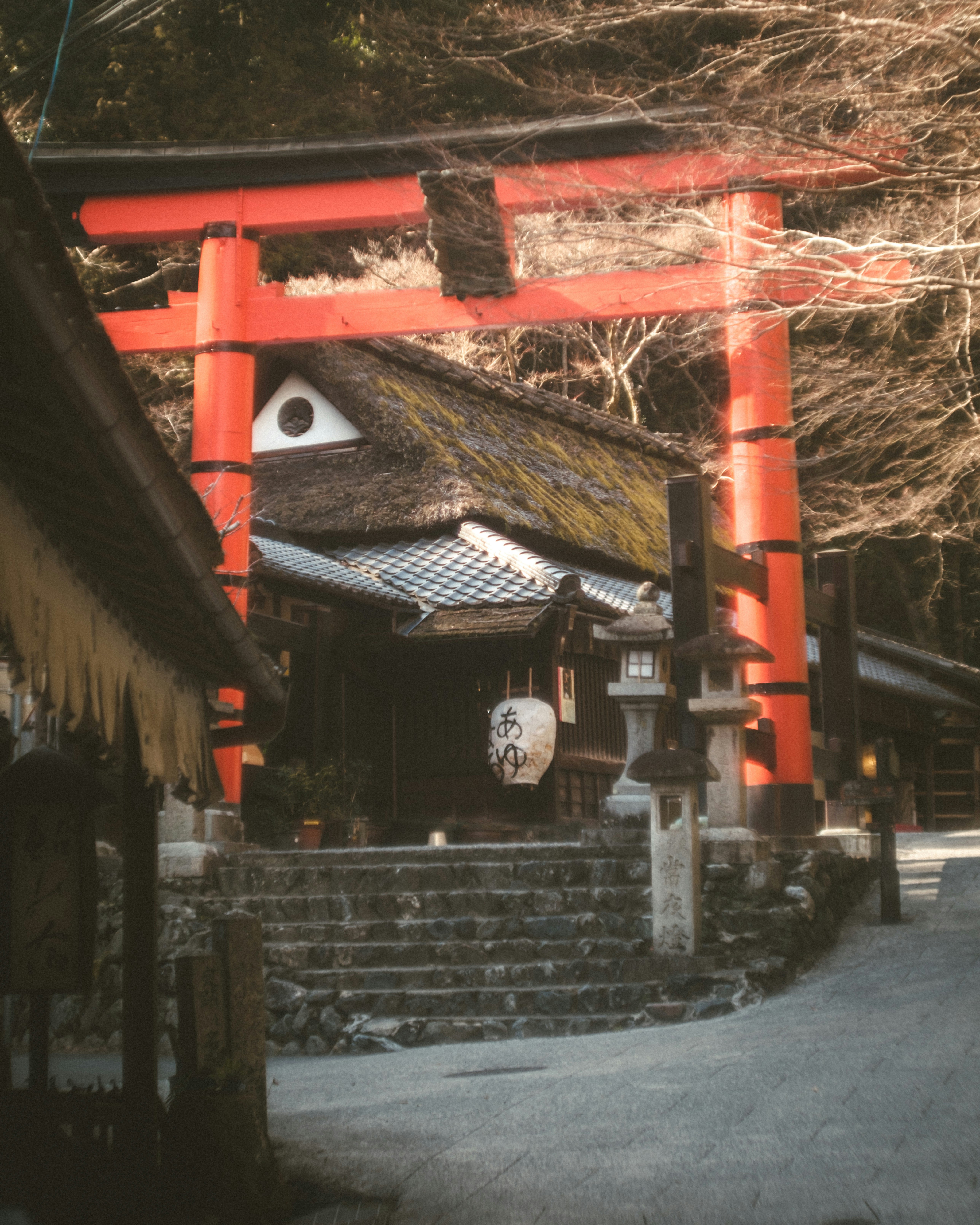 Rotes Torii und steinerne Treppen auf einem Weg in Okusagano