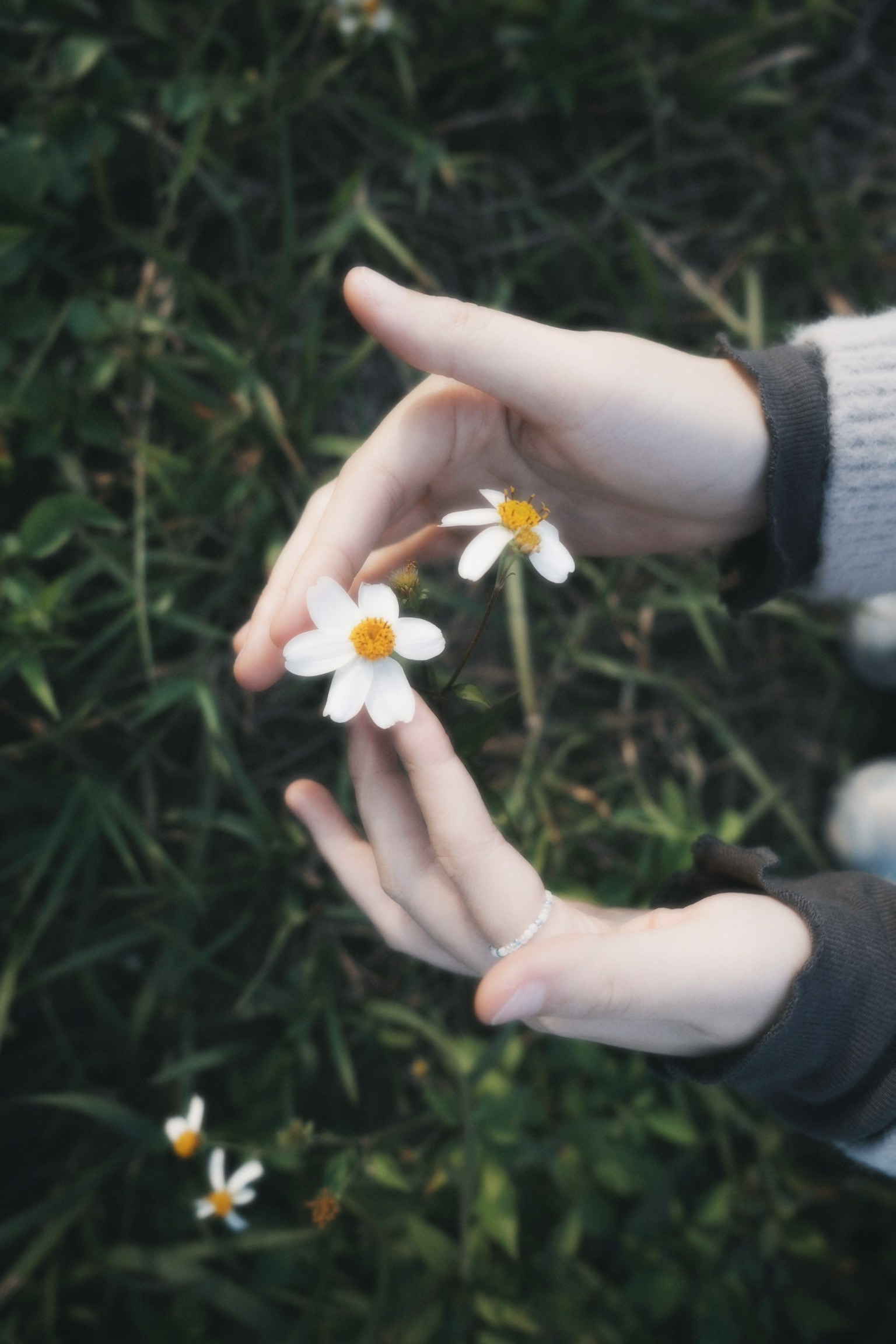 photo-MP9RSnOGXYE7RS8drusA-image