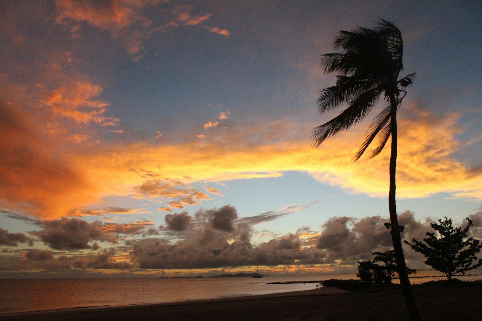 Escena de playa con un cielo de atardecer vibrante y palmeras ondeando