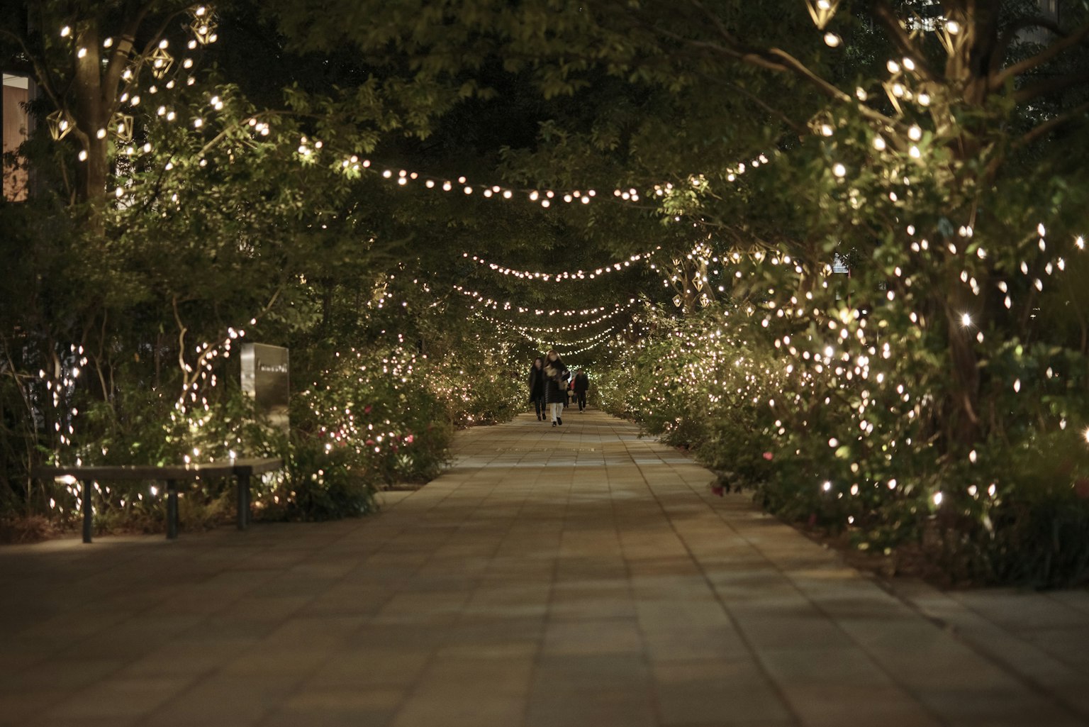 เส้นทางที่สวยงามมีแสงสว่างและพืชพรรณ