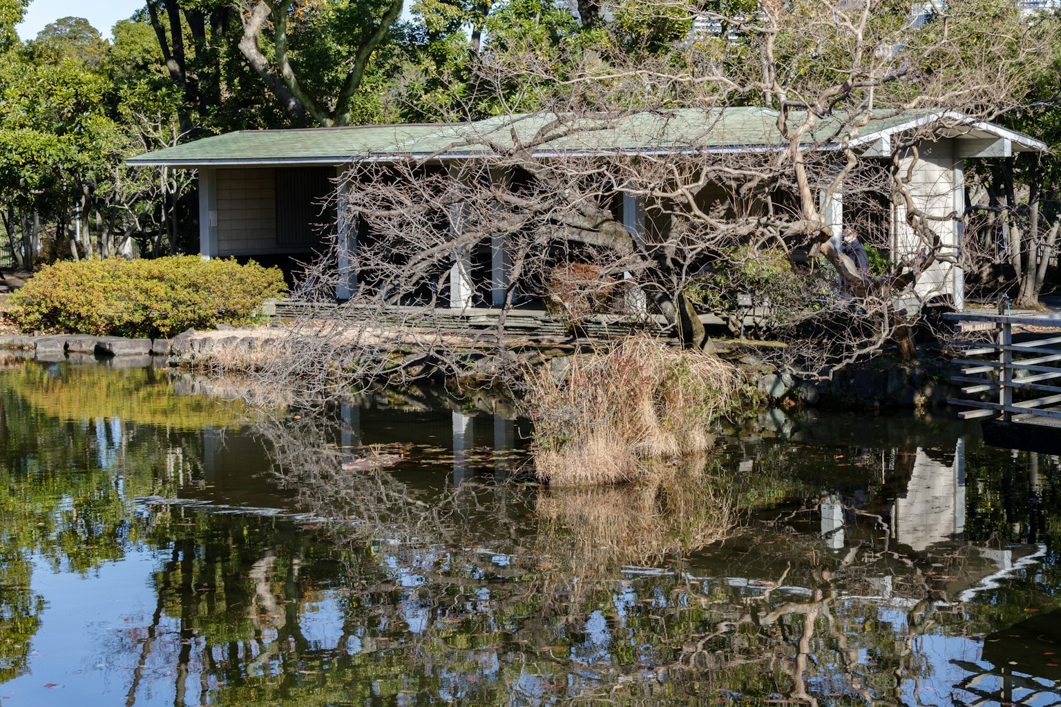 House by the pond with reflection