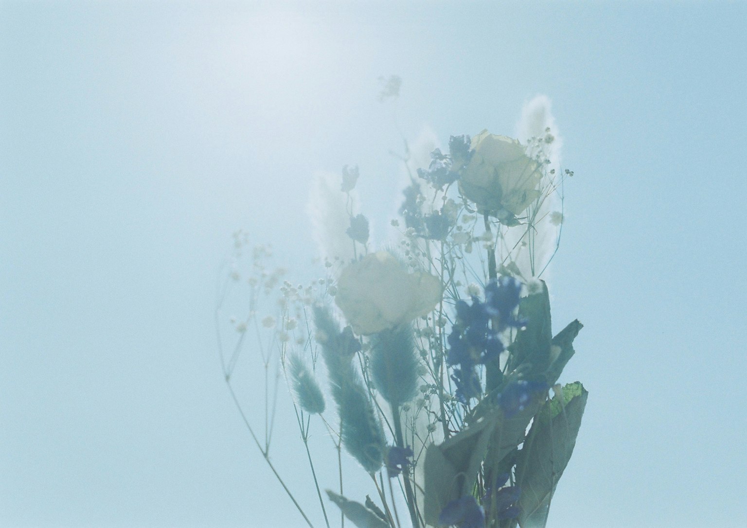Ein Blumenstrauß vor einem klaren blauen Himmel
