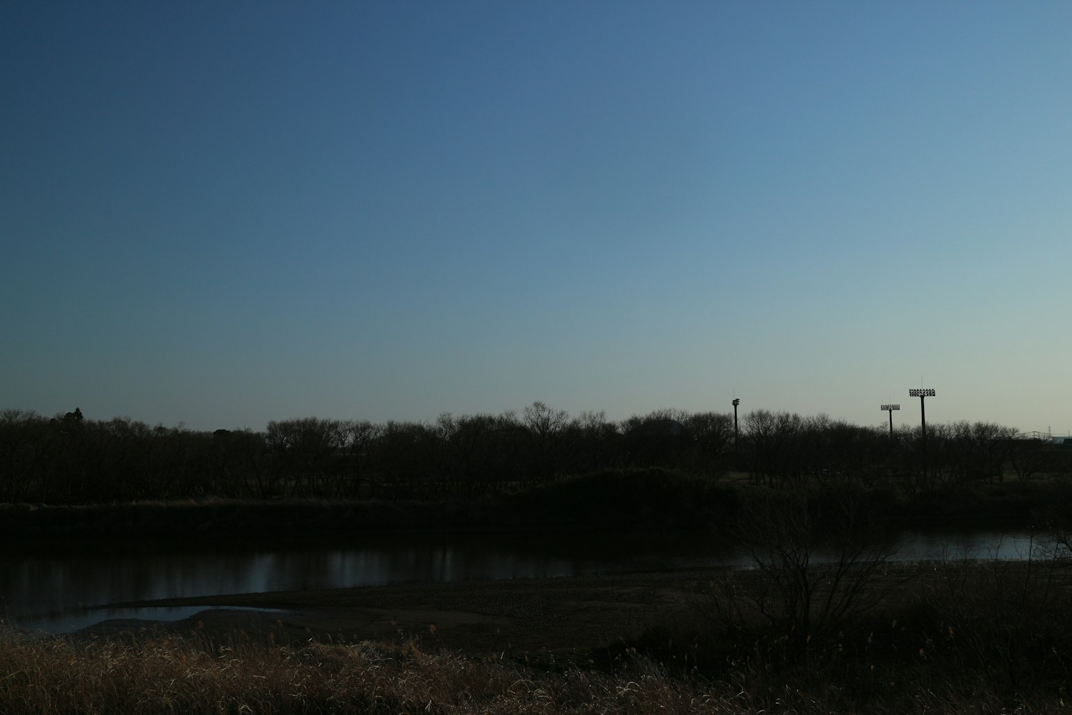 Un paesaggio sereno con cielo blu e un fiume tranquillo con sagome di erba e alberi
