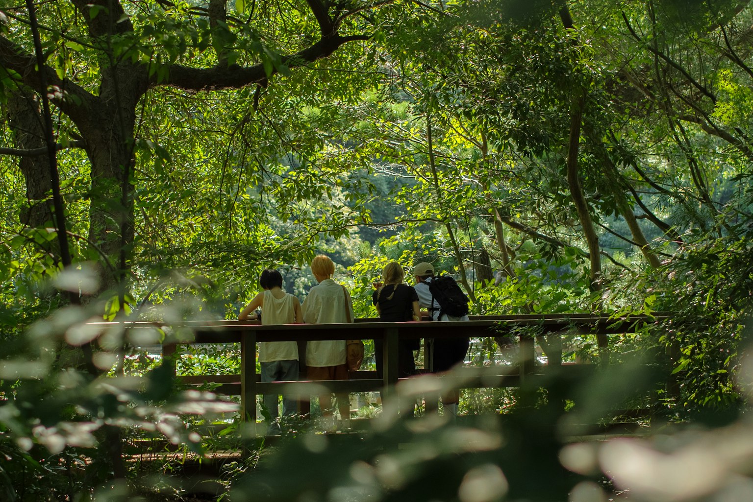 Silhouette von Personen auf einer Brücke in einem üppigen Wald