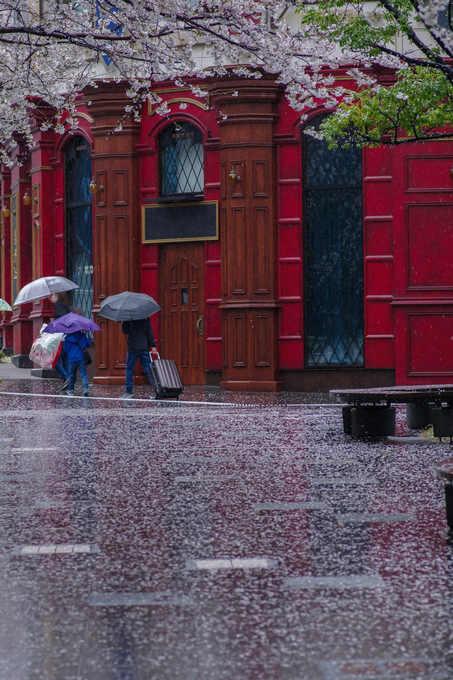 Menschen mit Regenschirmen vor einem roten Gebäude an einem regnerischen Tag mit verstreuten Kirschblütenblättern