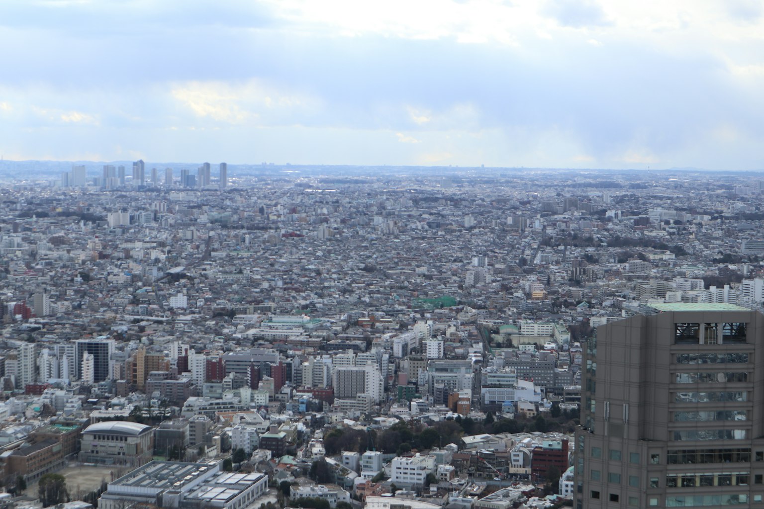Amplio paisaje urbano de Tokio con un cielo nublado
