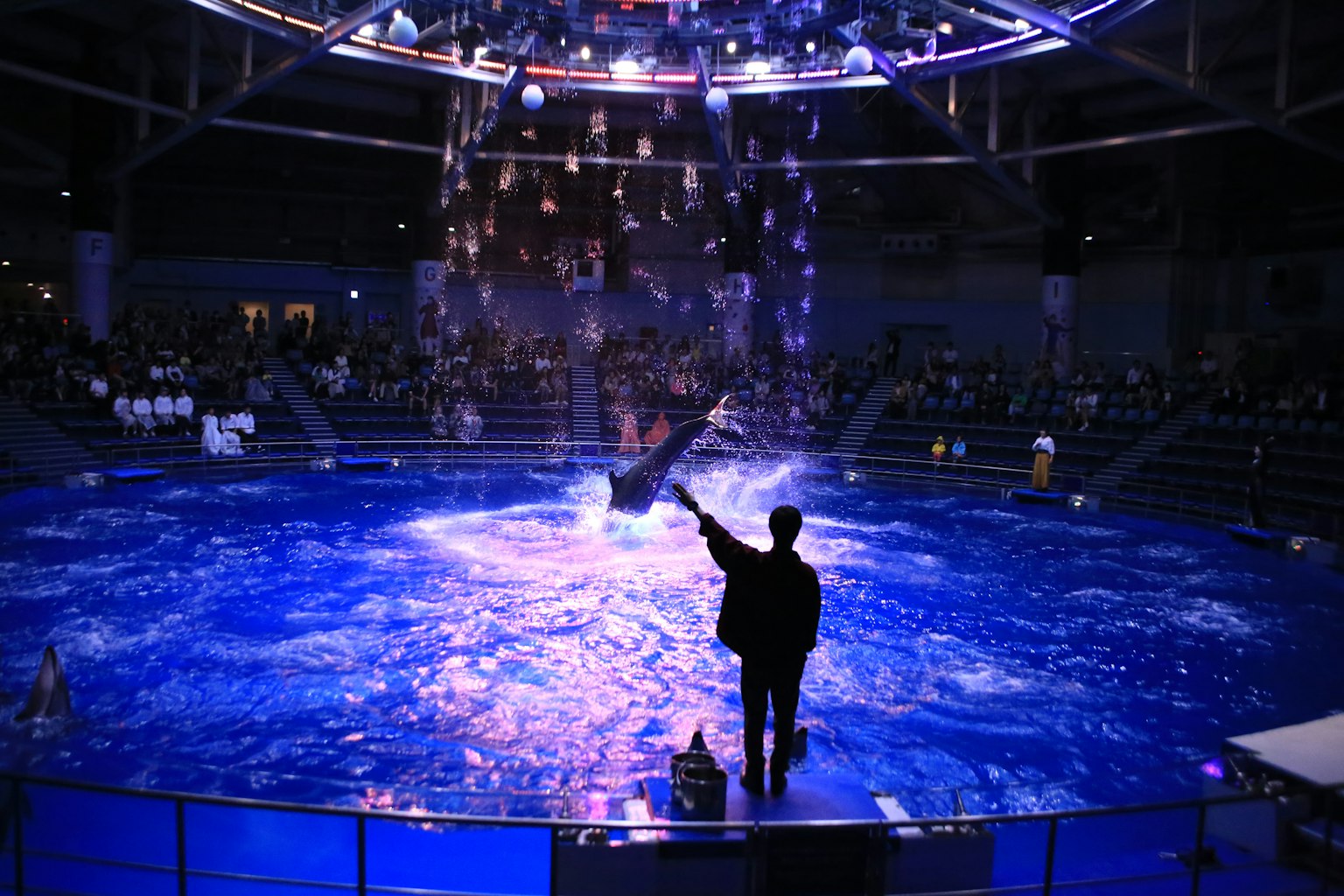 Silhouette di un artista in una piscina d'acqua blu con un pubblico