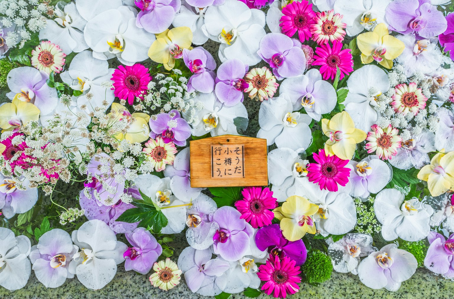 Holzschild umgeben von bunten Blumen