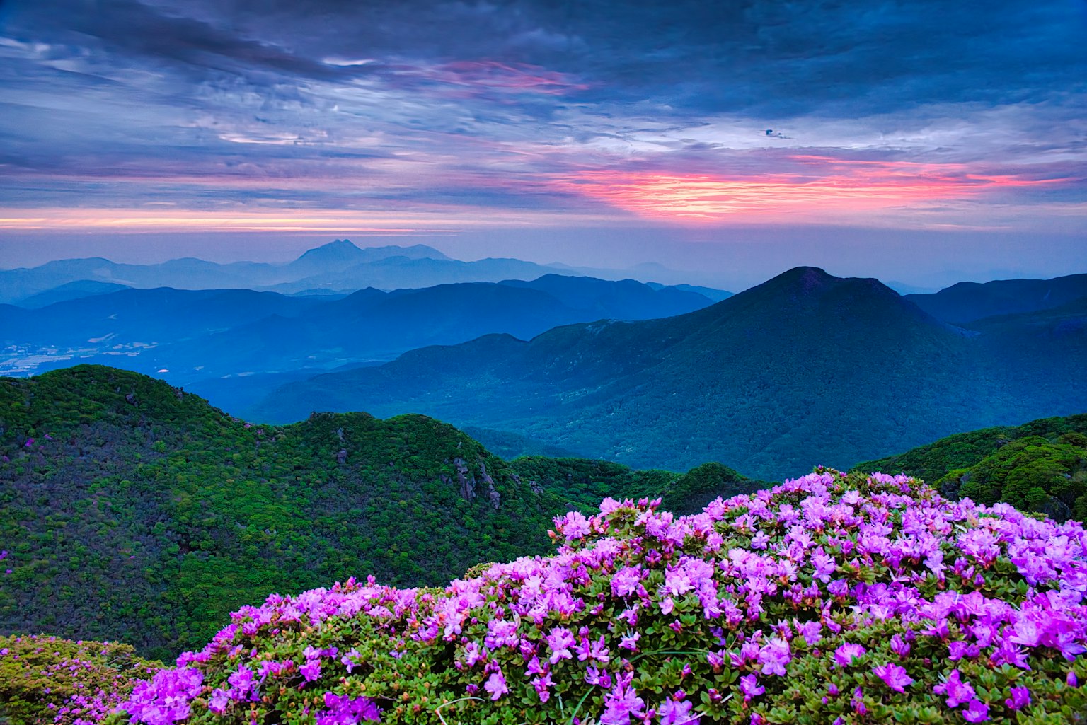photo-MRAdkiC70dMAFOOnRxcB-image