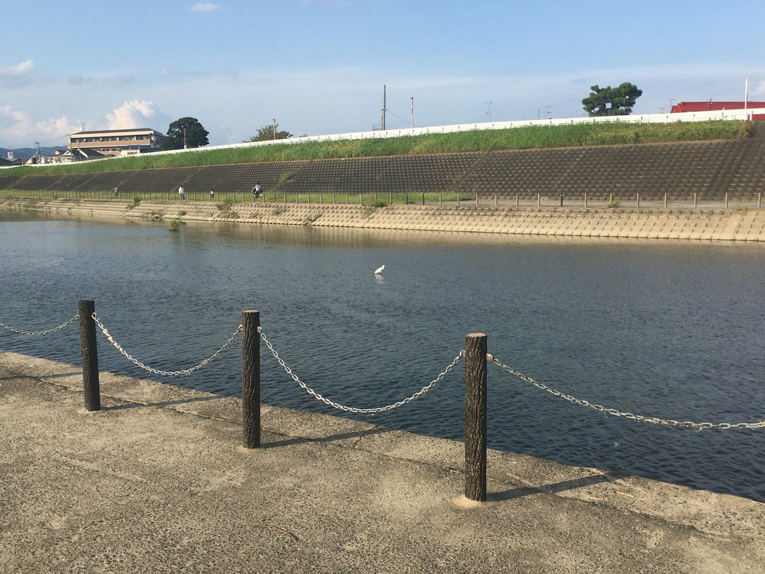 Recinzione lungo la riva con un uccello bianco sulla superficie dell'acqua