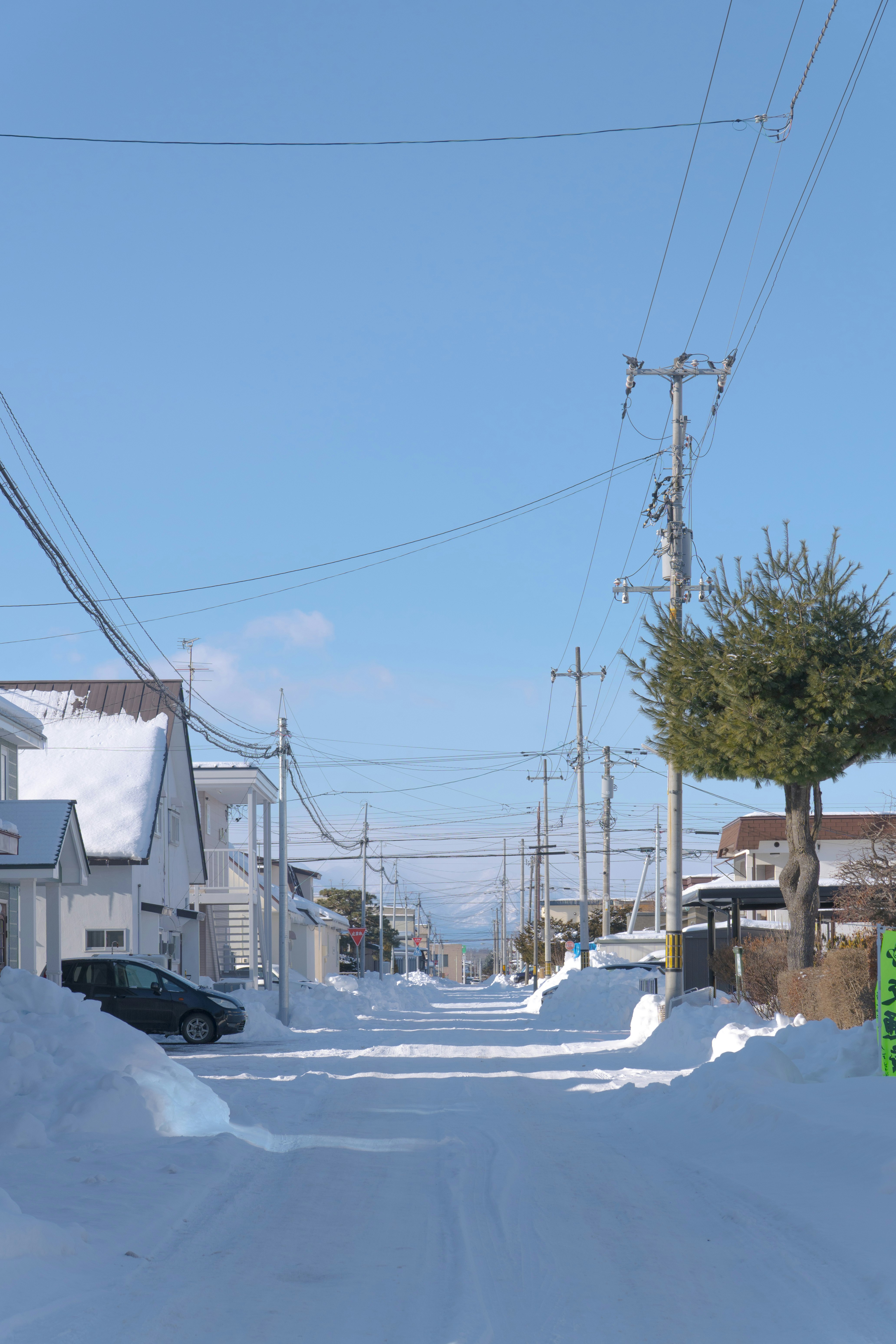 雪に覆われた住宅街の静かな通り