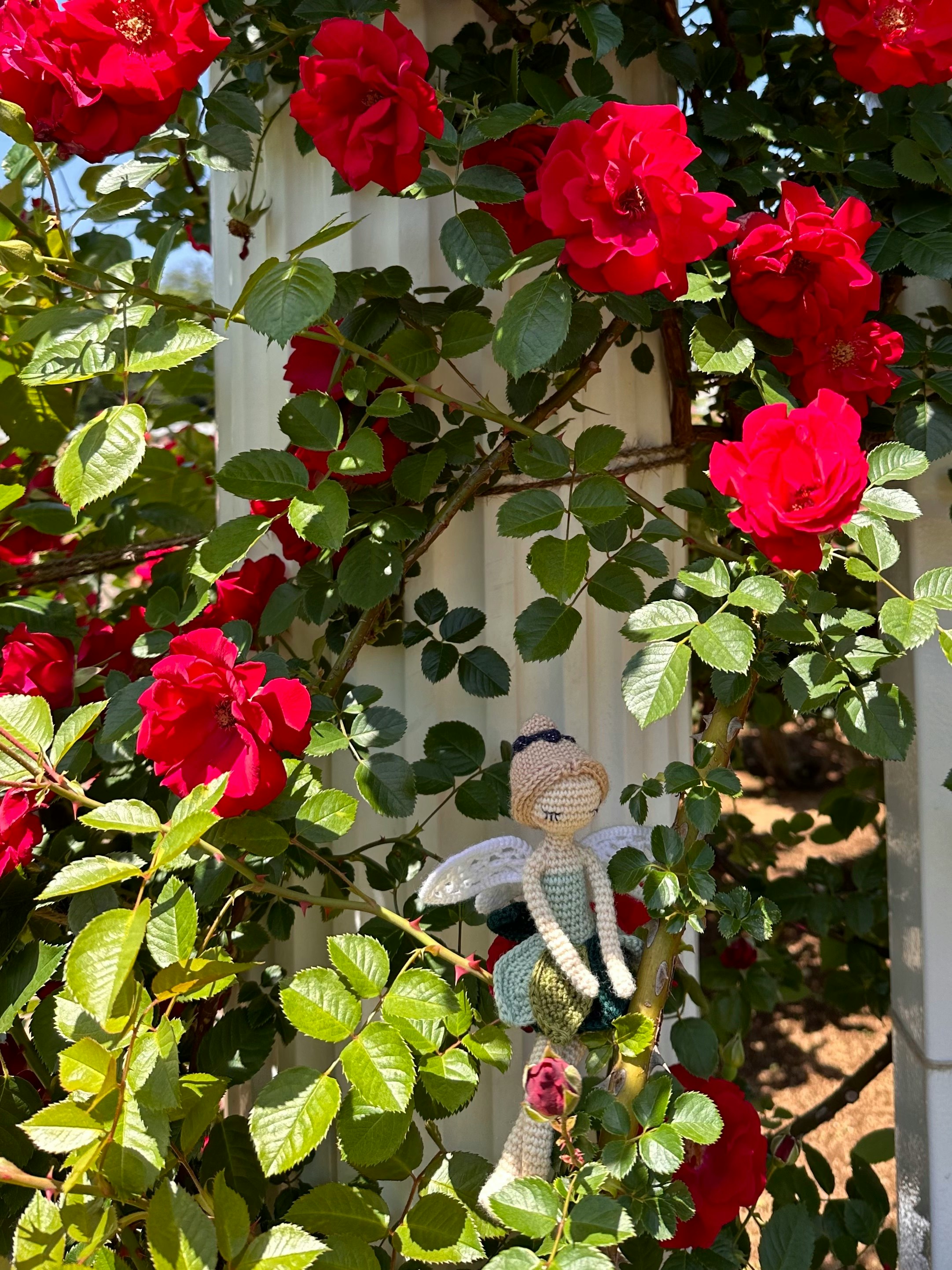 赤いバラの花と壁に飾られた人形のある庭先