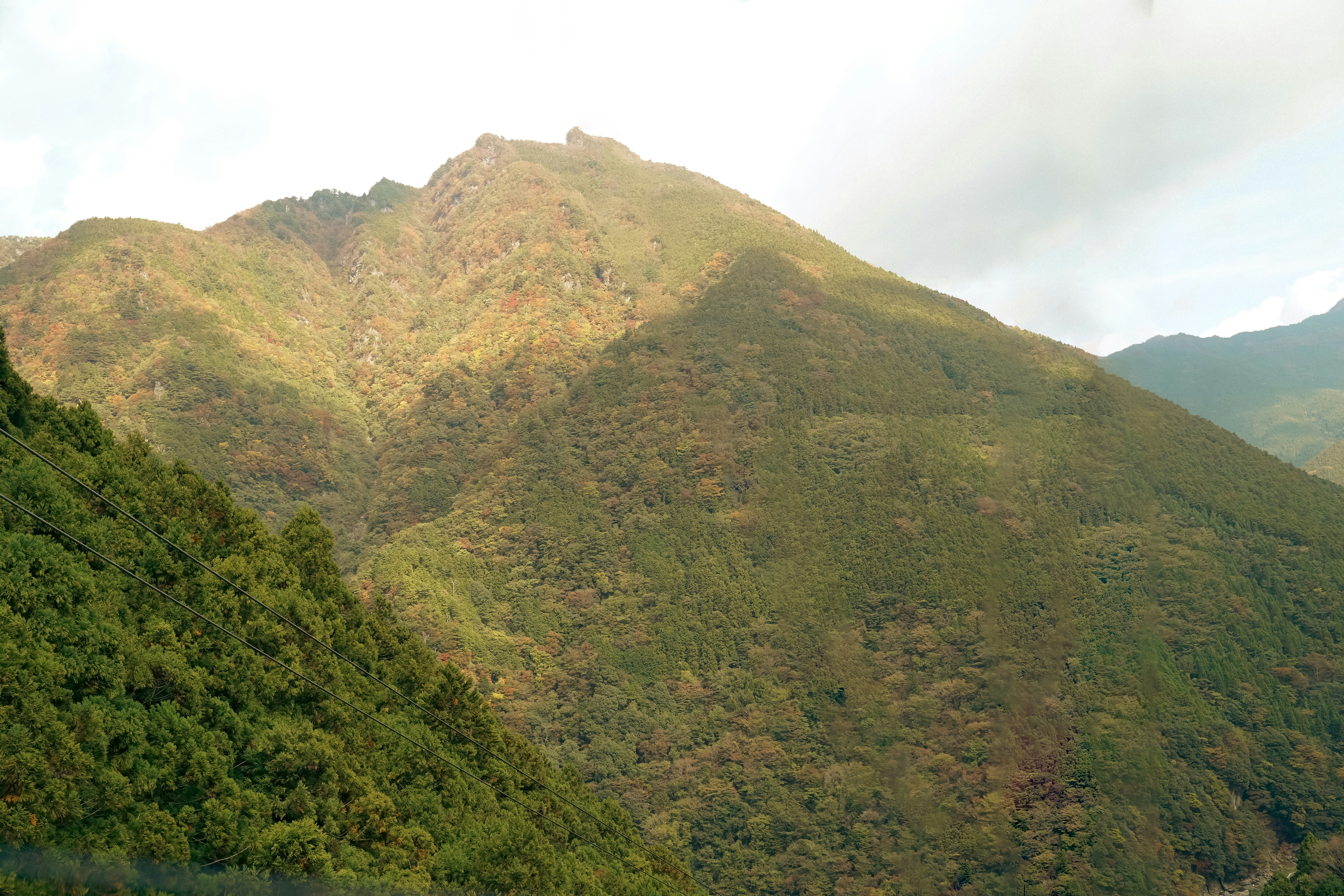 緑の山並みと雲のかかる渓谷の風景
