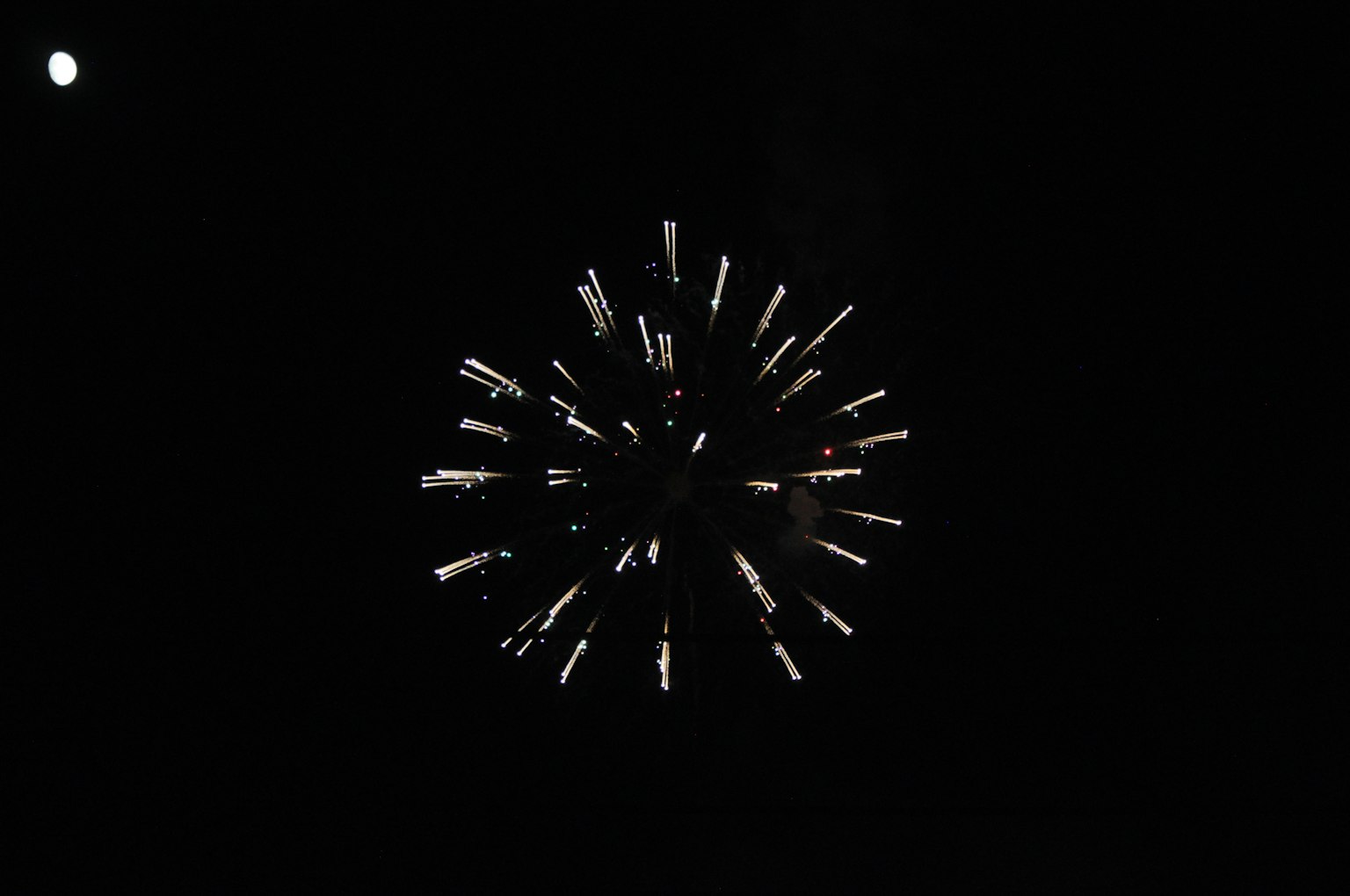Feuerwerk, das sich in blütenähnlicher Form vor schwarzem Hintergrund entfaltet