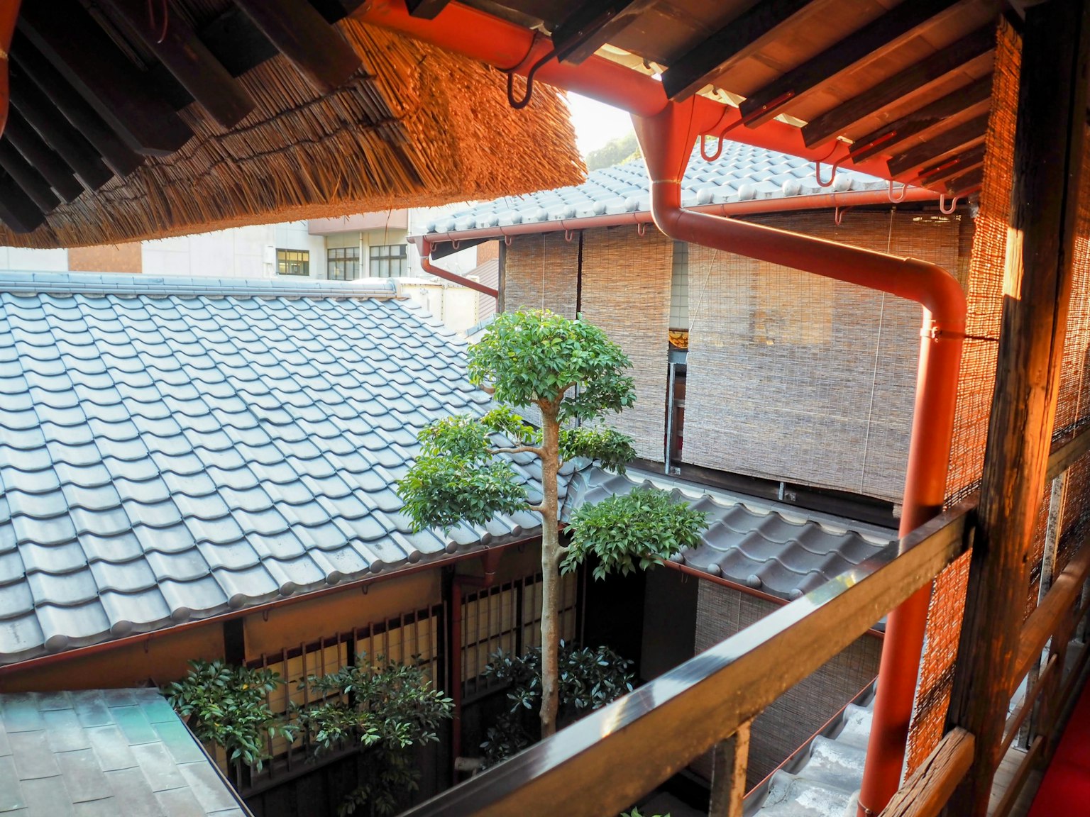 View of a traditional Japanese house courtyard featuring red pillars and tiled roofs with a prominent green tree