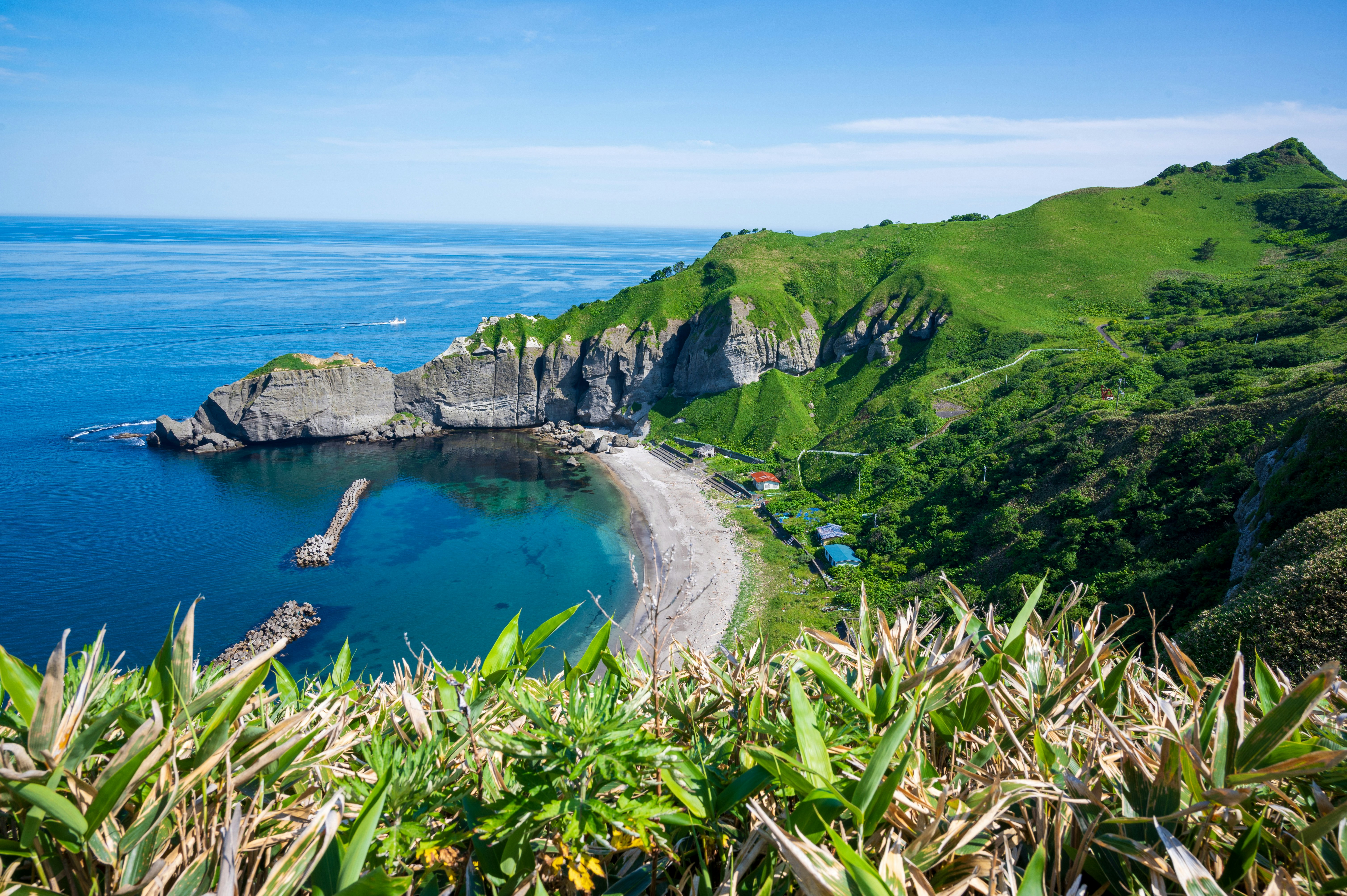 断崖と緑の丘に囲まれた海岸の絶景