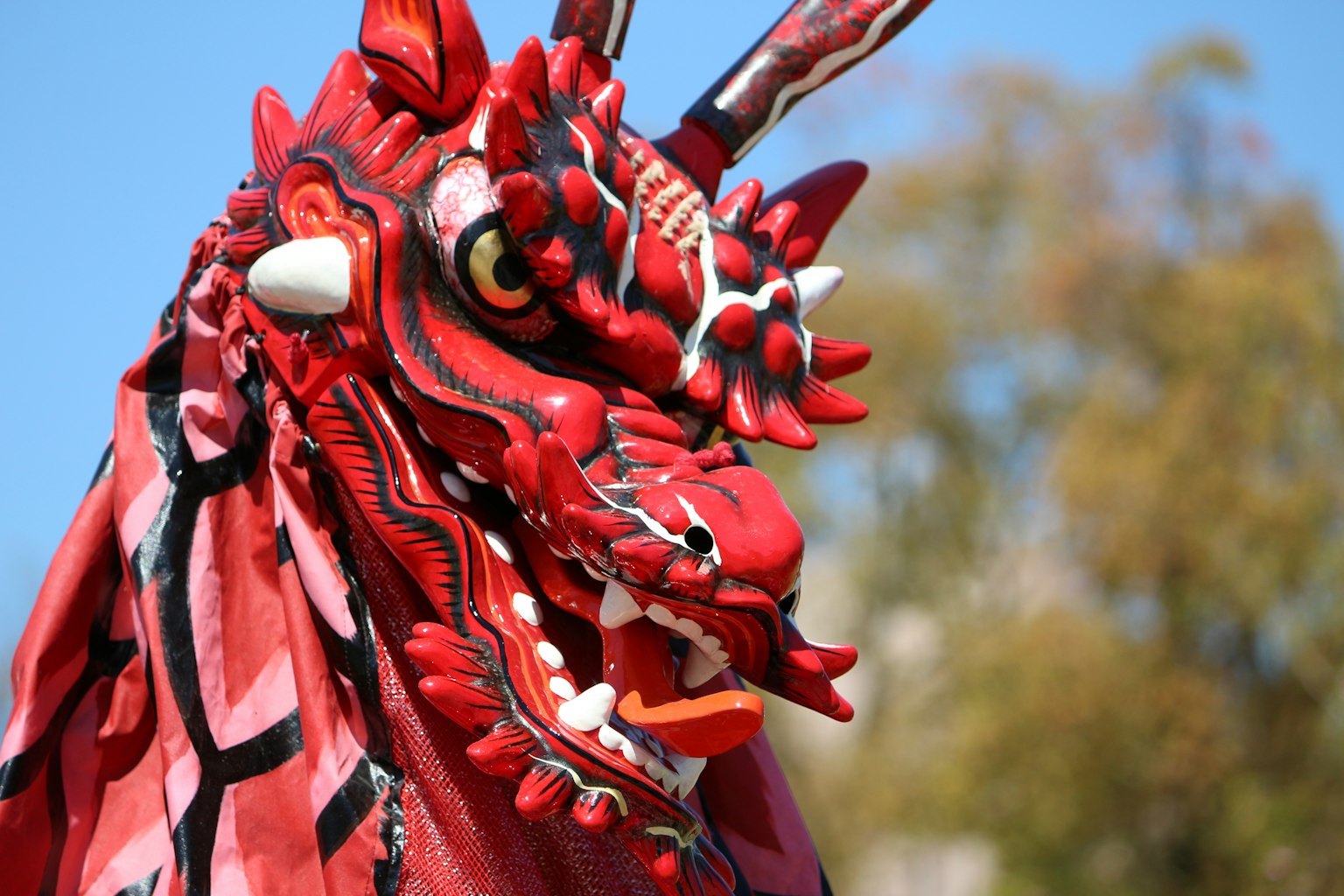 Gros plan sur une tête de dragon rouge vibrant avec des détails complexes